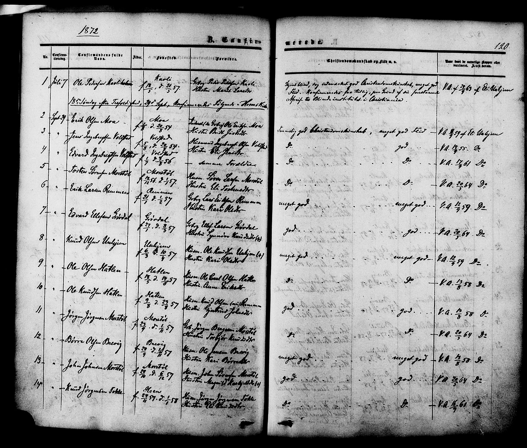 Ministerialprotokoller, klokkerbøker og fødselsregistre - Møre og Romsdal, SAT/A-1454/545/L0586: Parish register (official) no. 545A02, 1854-1877, p. 120