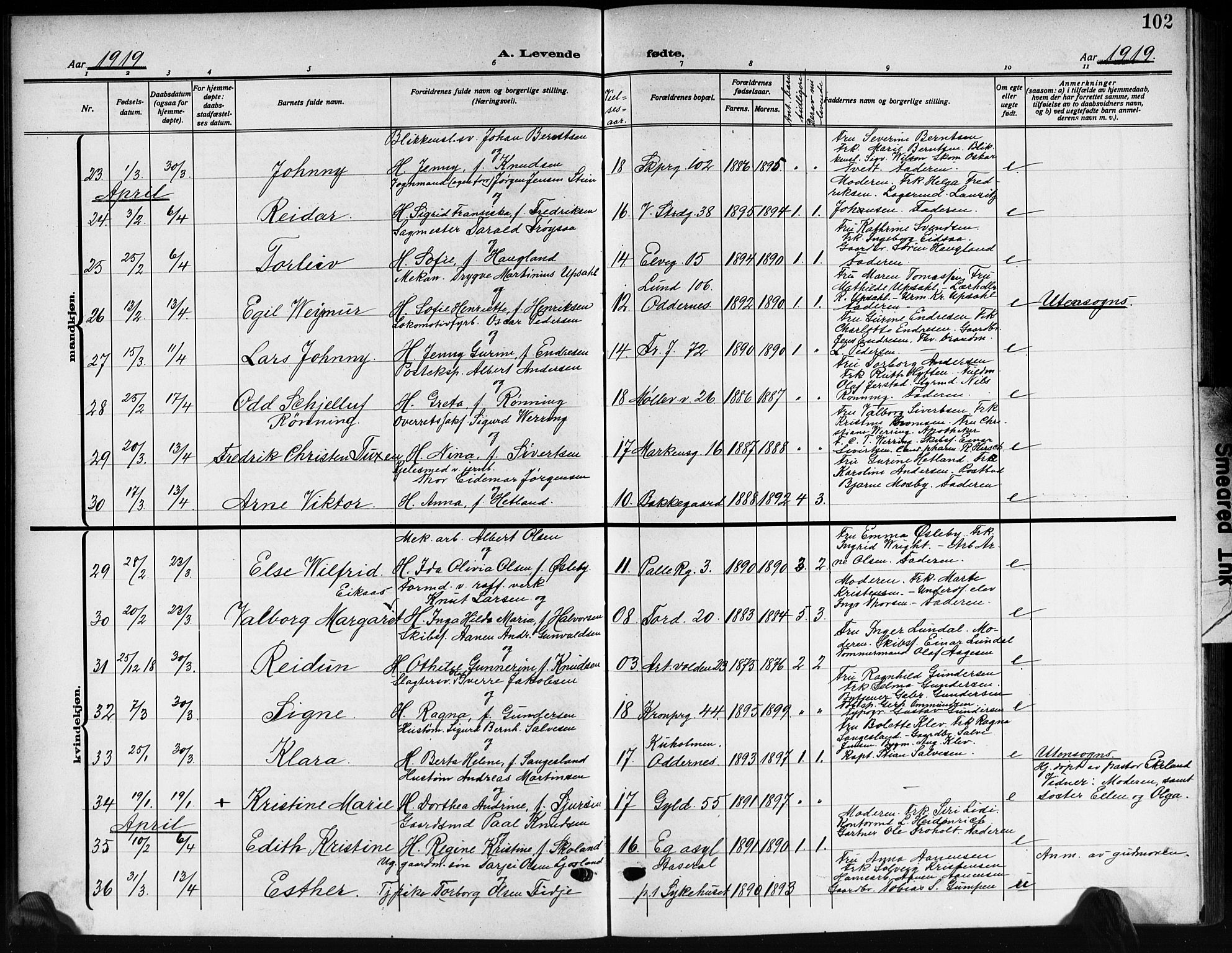 Kristiansand domprosti, SAK/1112-0006/F/Fb/L0021: Parish register (copy) no. B 21, 1914-1923, p. 102