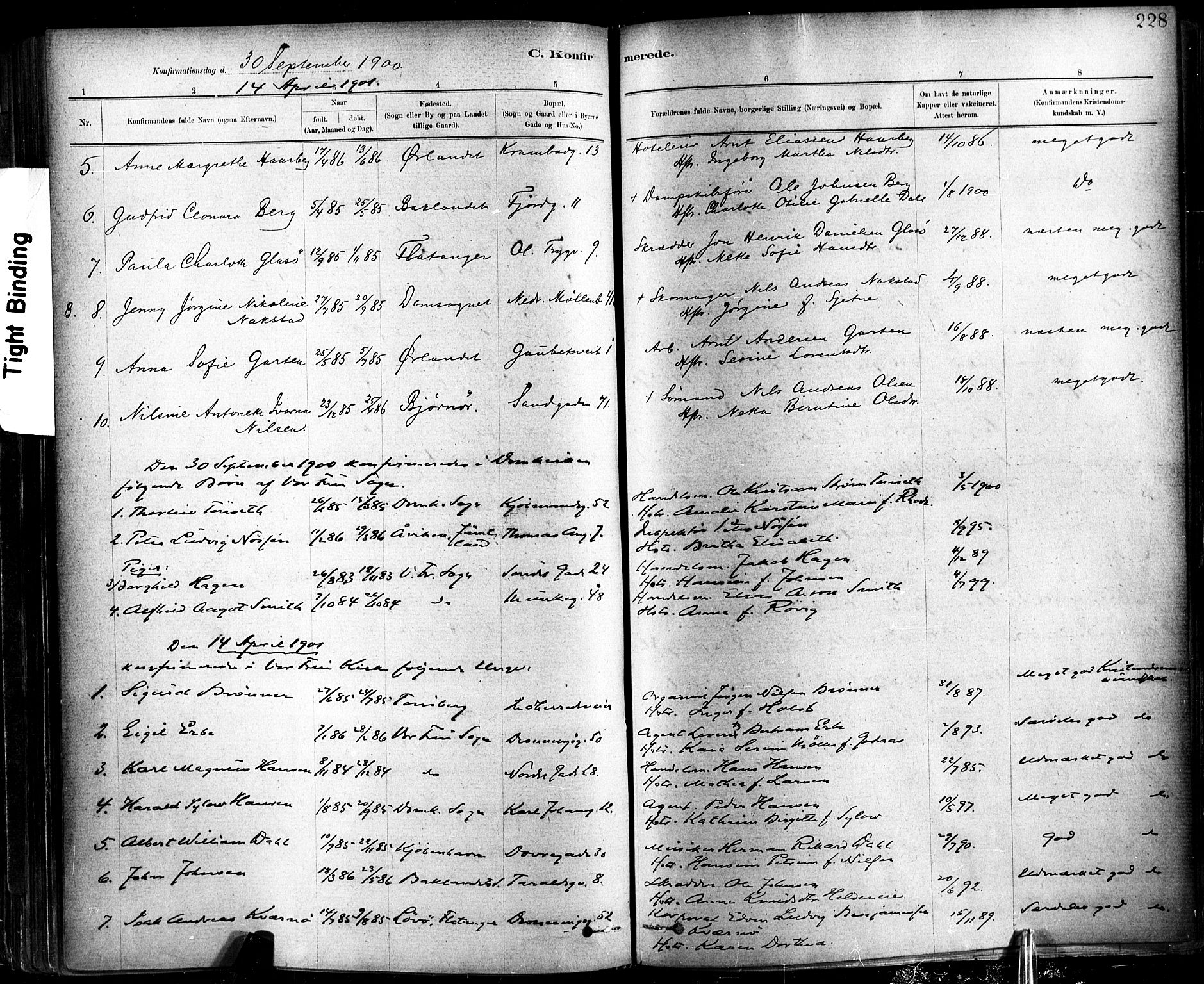 Ministerialprotokoller, klokkerbøker og fødselsregistre - Sør-Trøndelag, SAT/A-1456/602/L0119: Parish register (official) no. 602A17, 1880-1901, p. 228