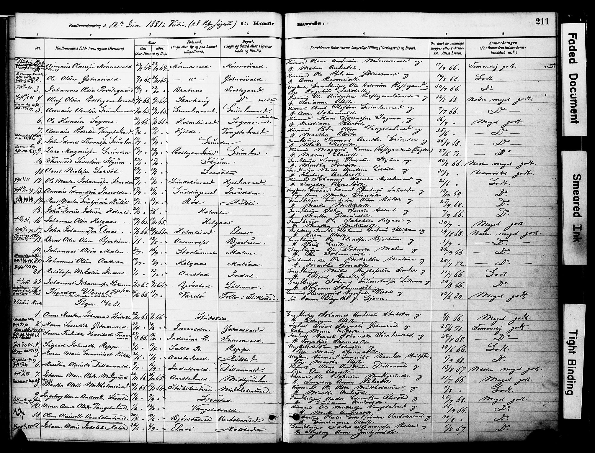 Ministerialprotokoller, klokkerbøker og fødselsregistre - Nord-Trøndelag, SAT/A-1458/723/L0244: Parish register (official) no. 723A13, 1881-1899, p. 211