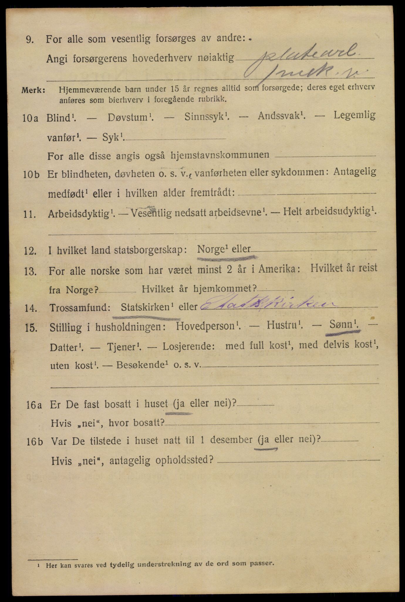 SAKO, 1920 census for Larvik, 1920, p. 17935