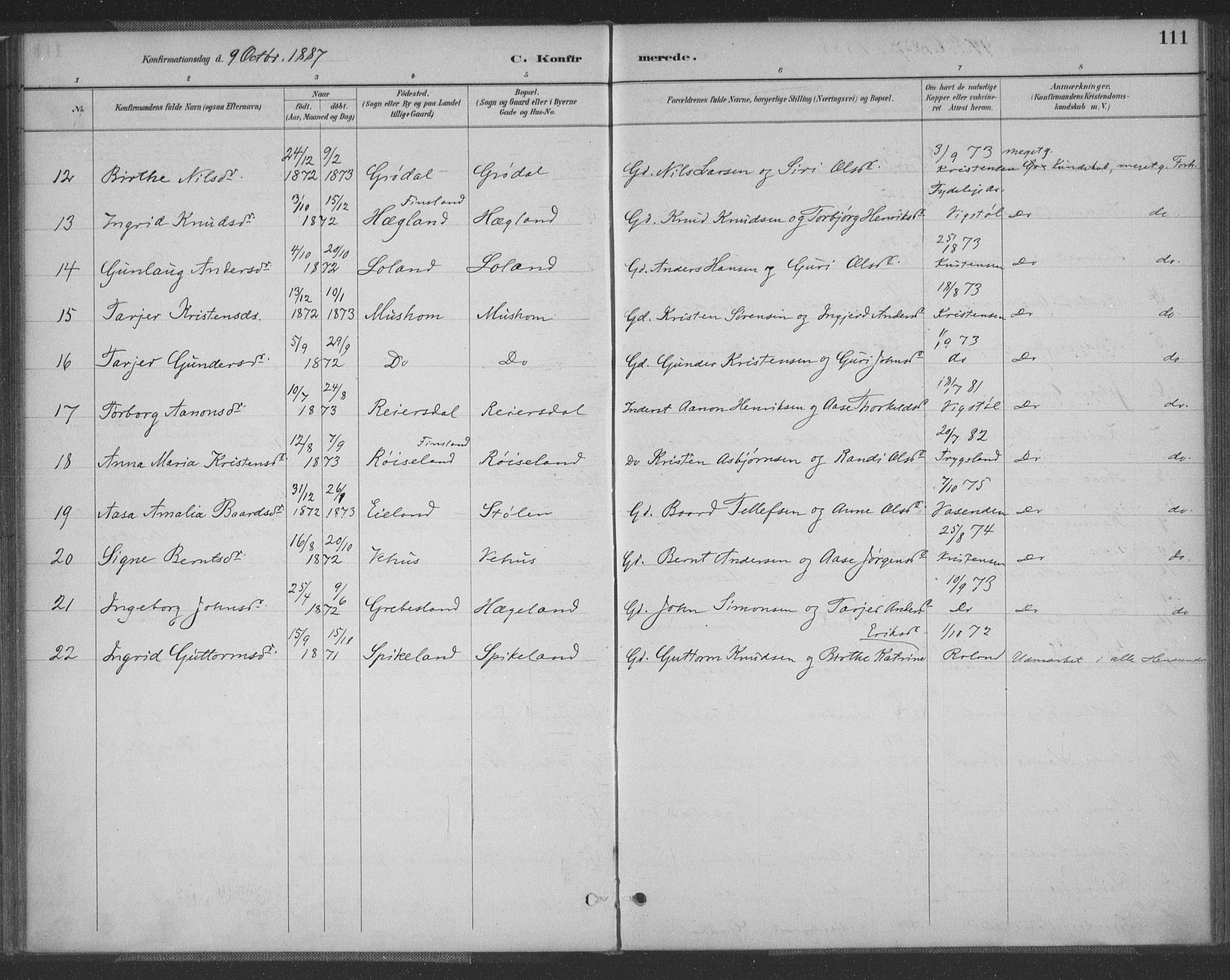 Vennesla sokneprestkontor, AV/SAK-1111-0045/Fa/Fac/L0009: Parish register (official) no. A 9, 1884-1901, p. 111