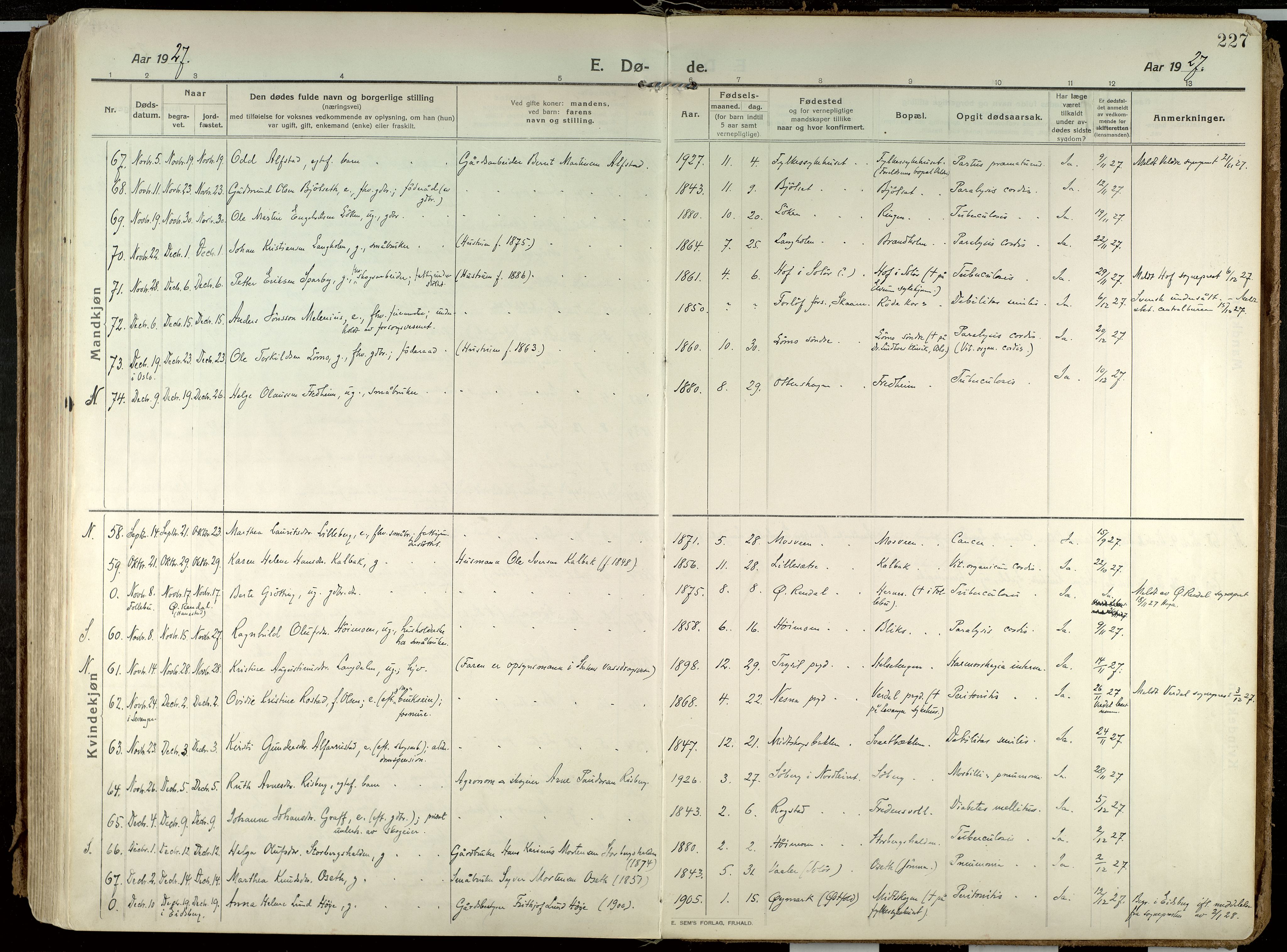 Elverum prestekontor, AV/SAH-PREST-044/H/Ha/Haa/L0021: Parish register (official) no. 21, 1913-1928, p. 227