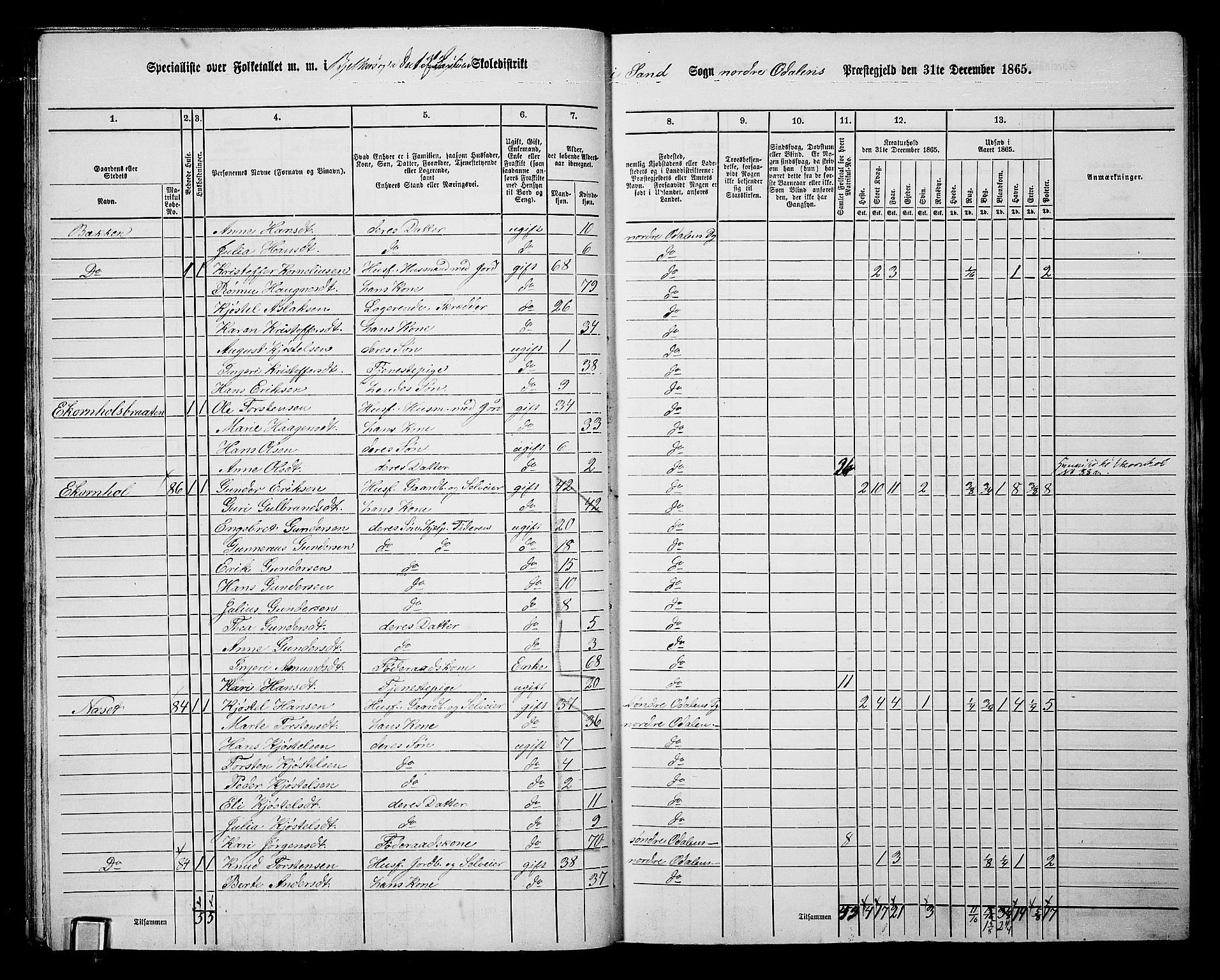 RA, 1865 census for Nord-Odal, 1865, p. 27