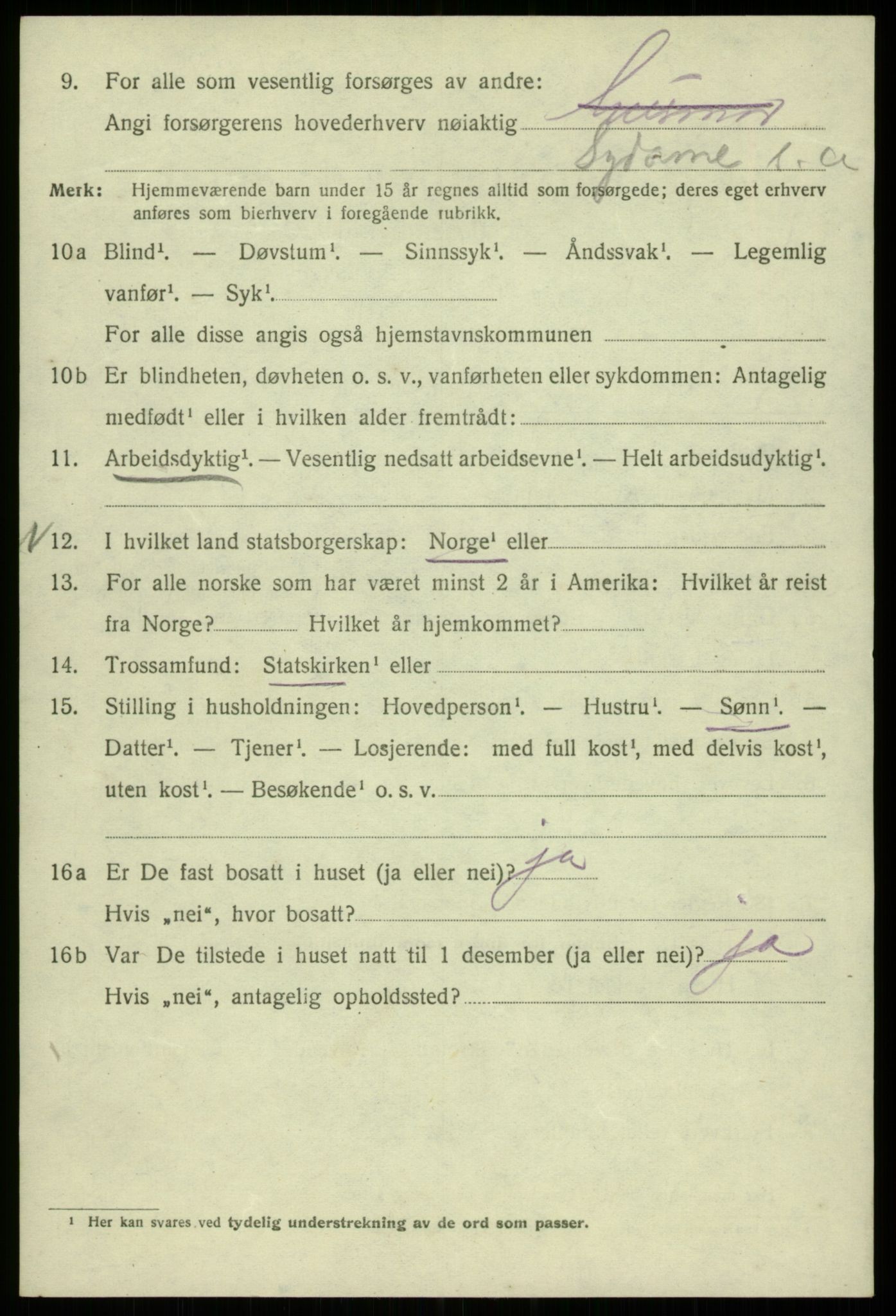 SAB, 1920 census for Bergen, 1920, p. 159441