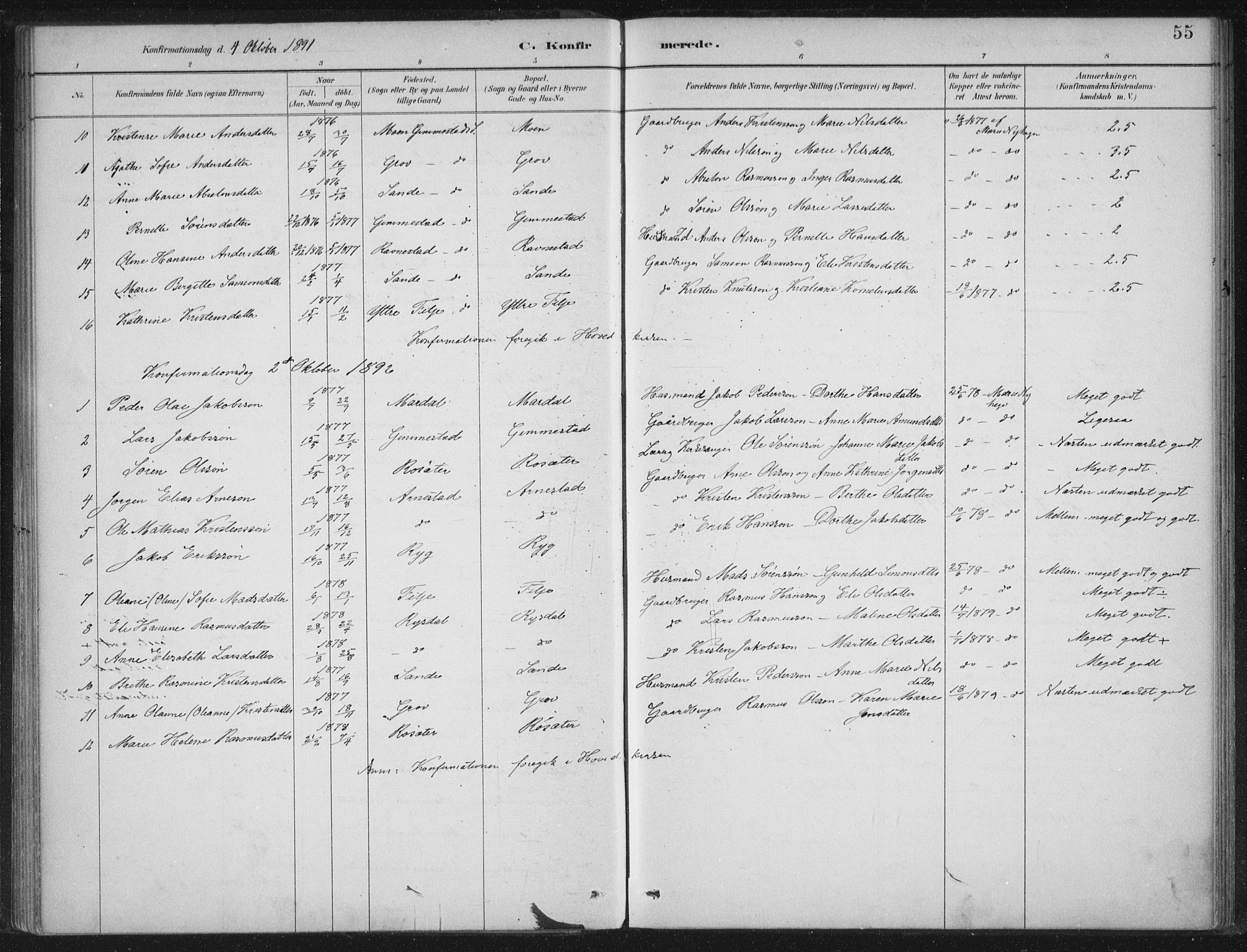 Gloppen sokneprestembete, SAB/A-80101/H/Haa/Haad/L0001: Parish register (official) no. D  1, 1885-1910, p. 55