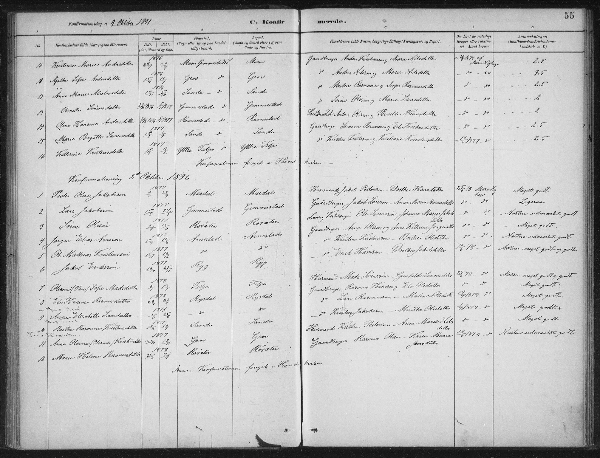 Gloppen sokneprestembete, AV/SAB-A-80101/H/Haa/Haad/L0001: Parish register (official) no. D  1, 1885-1910, p. 55