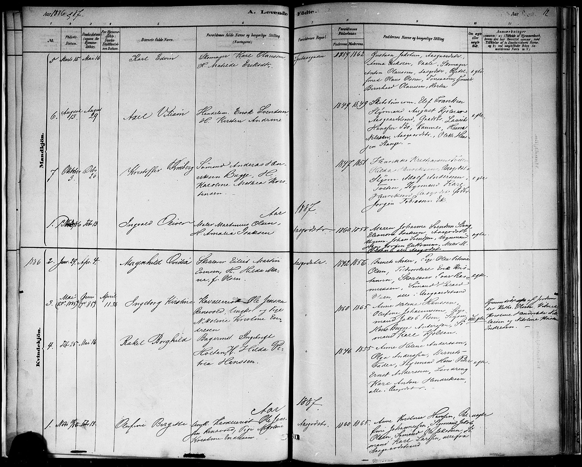 Borre kirkebøker, SAKO/A-338/F/Fb/L0001: Parish register (official) no. II 1, 1878-1892, p. 12