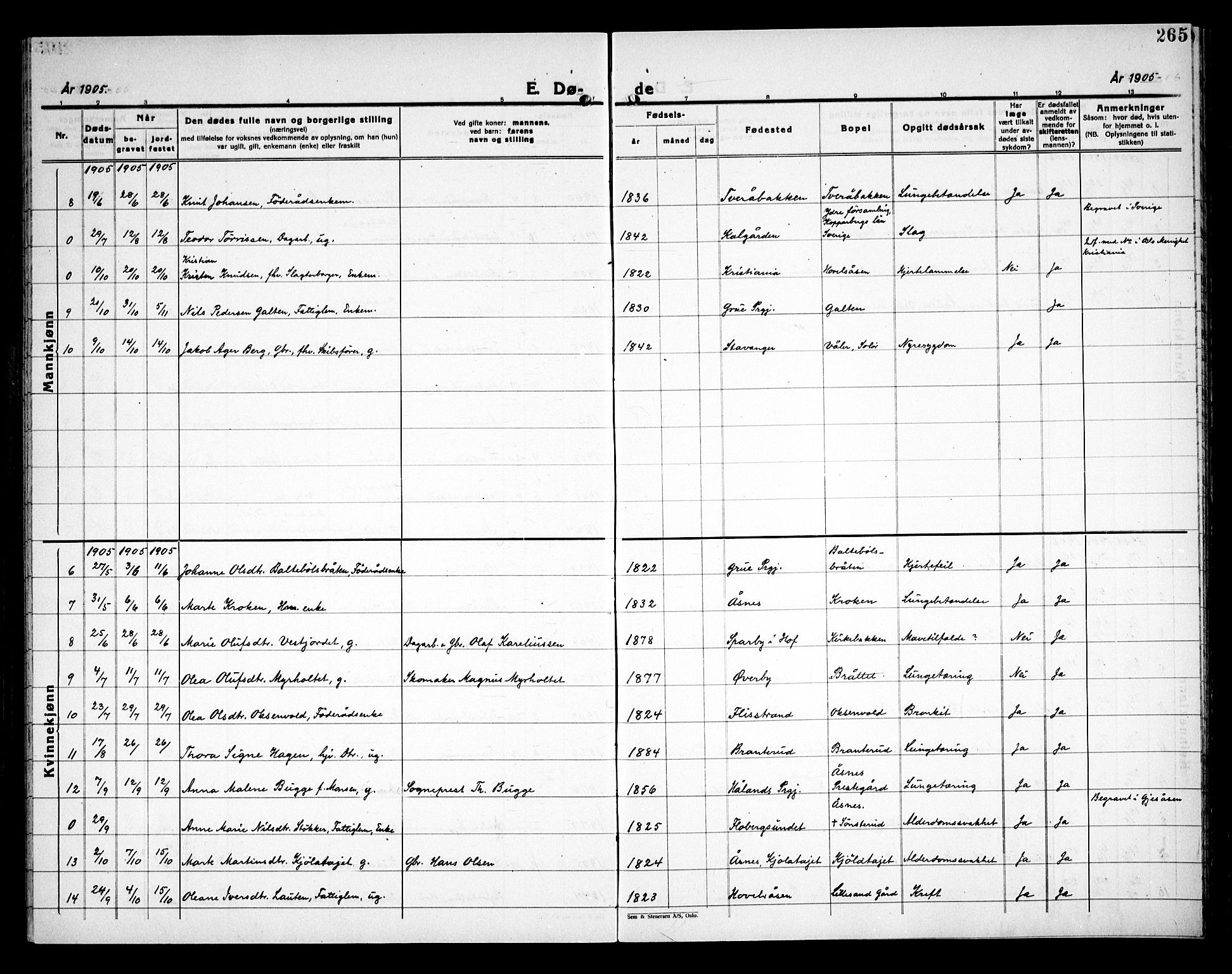 Åsnes prestekontor, AV/SAH-PREST-042/H/Ha/Haa/L0000C: Parish register (official) no. 0A, 1890-1929, p. 265