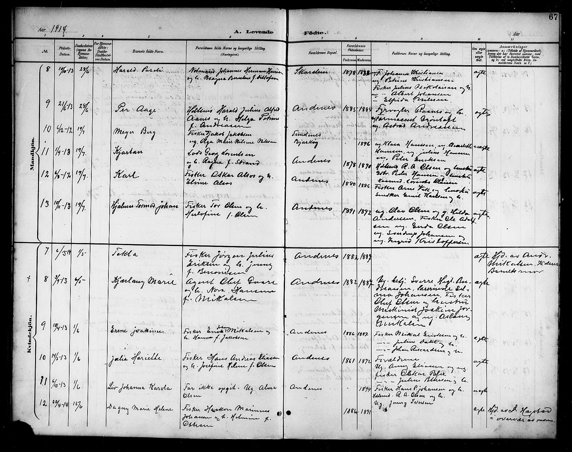 Ministerialprotokoller, klokkerbøker og fødselsregistre - Nordland, AV/SAT-A-1459/899/L1449: Parish register (copy) no. 899C04, 1900-1918, p. 67