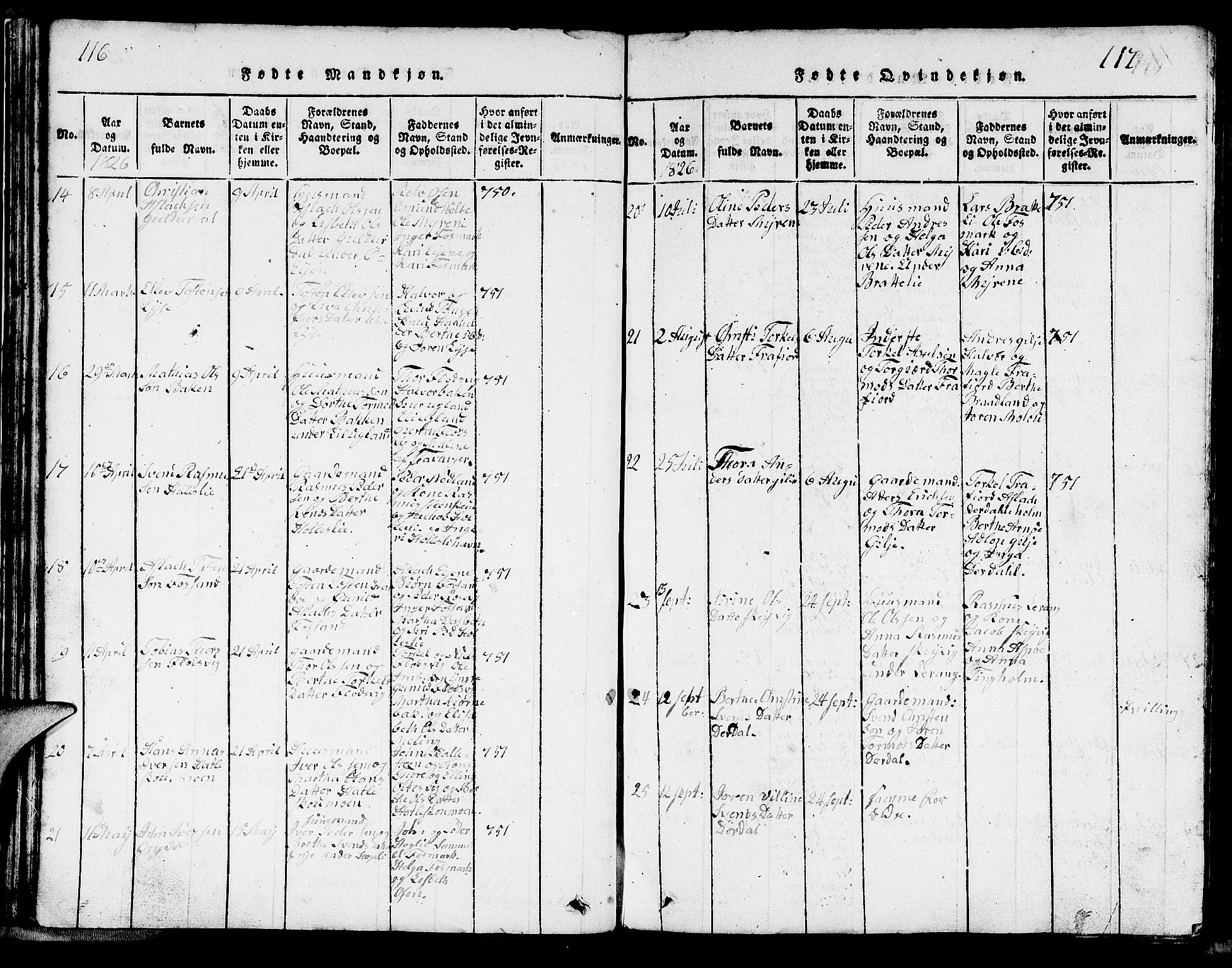 Strand sokneprestkontor, AV/SAST-A-101828/H/Ha/Hab/L0002: Parish register (copy) no. B 2, 1816-1854, p. 116-117