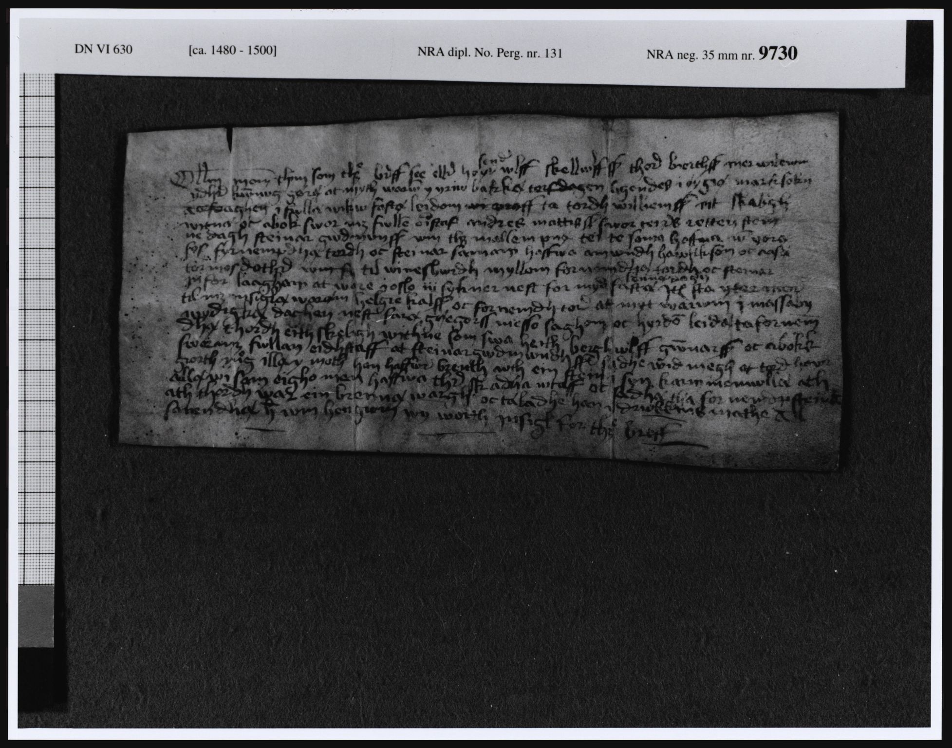 Riksarkivets diplomsamling, RA/EA-5965/F08, 1224-1564, p. 295