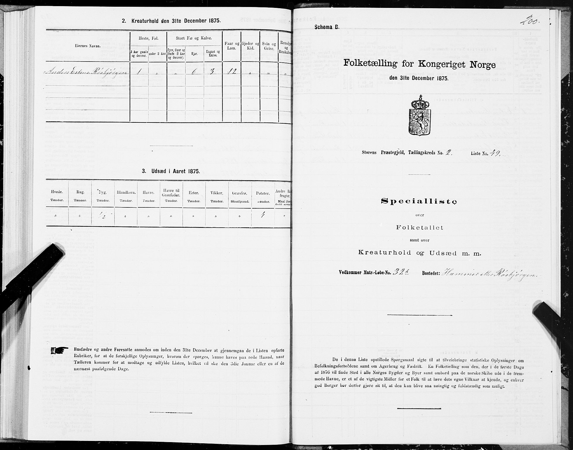 SAT, 1875 census for 1648P Støren, 1875, p. 1200