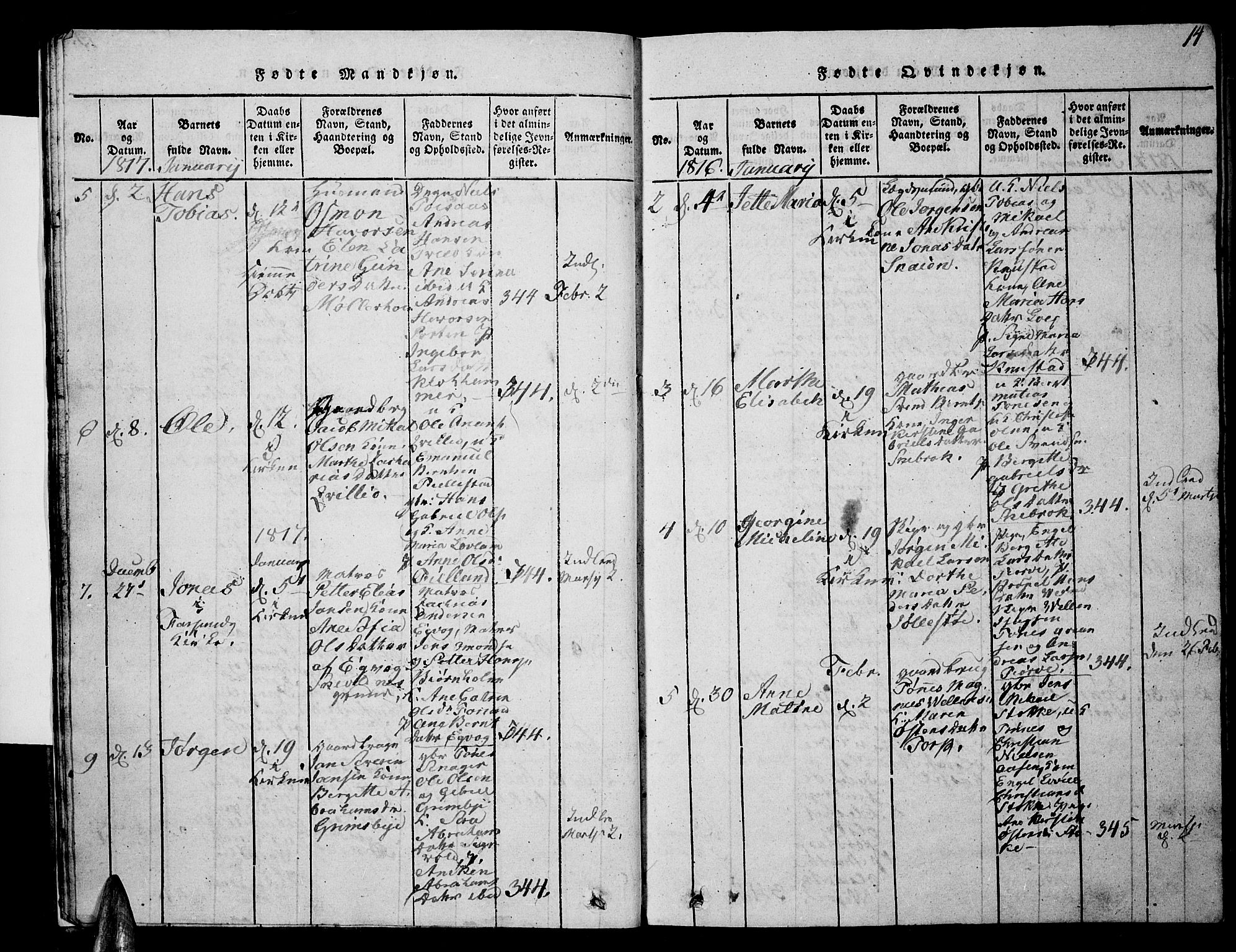 Lista sokneprestkontor, AV/SAK-1111-0027/F/Fb/L0001: Parish register (copy) no. B 1, 1816-1832, p. 14