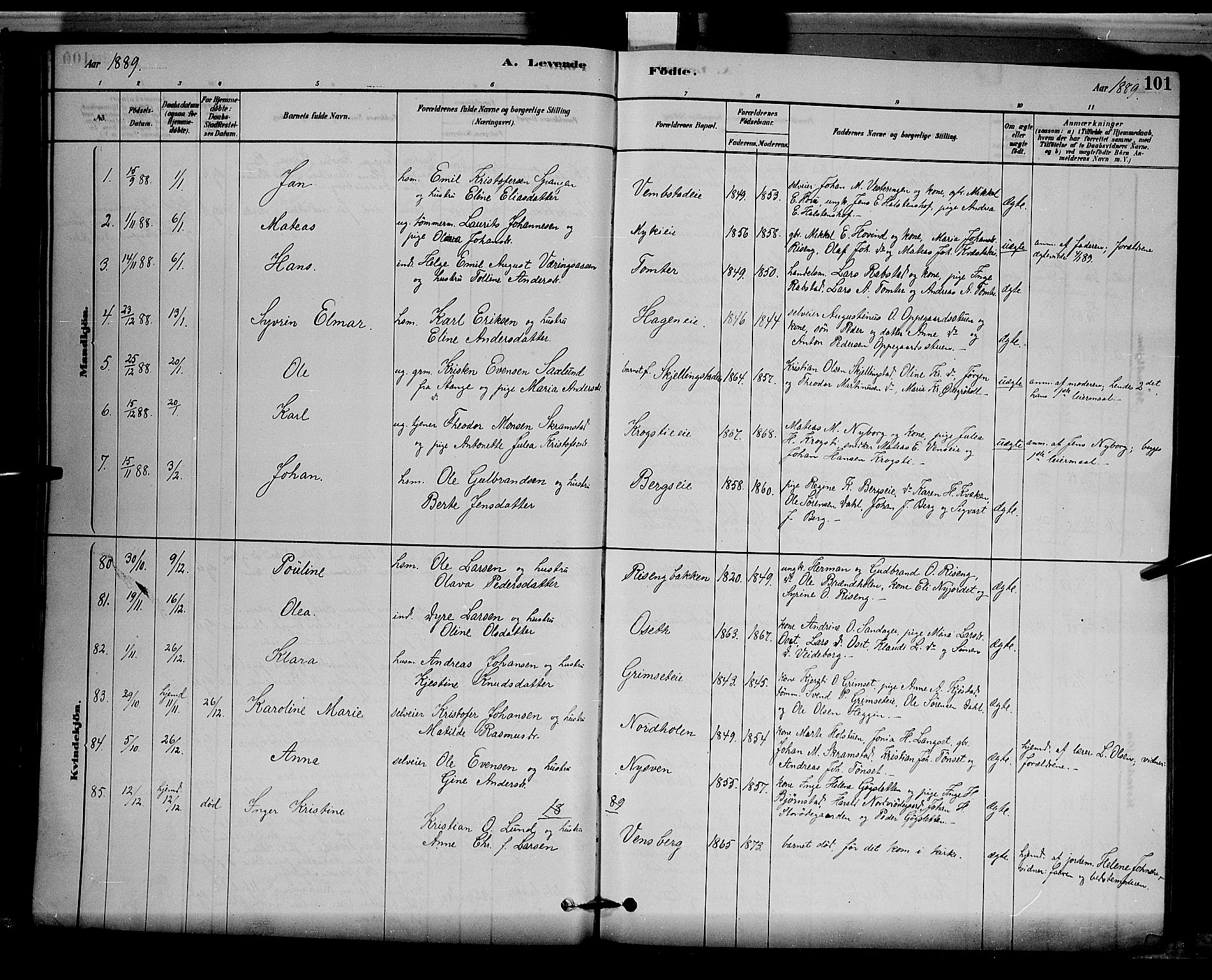 Løten prestekontor, SAH/PREST-022/L/La/L0005: Parish register (copy) no. 5, 1878-1891, p. 101