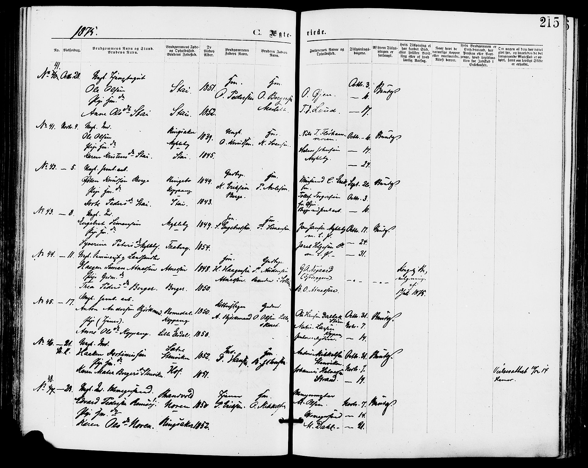 Stor-Elvdal prestekontor, SAH/PREST-052/H/Ha/Haa/L0001: Parish register (official) no. 1, 1871-1882, p. 215