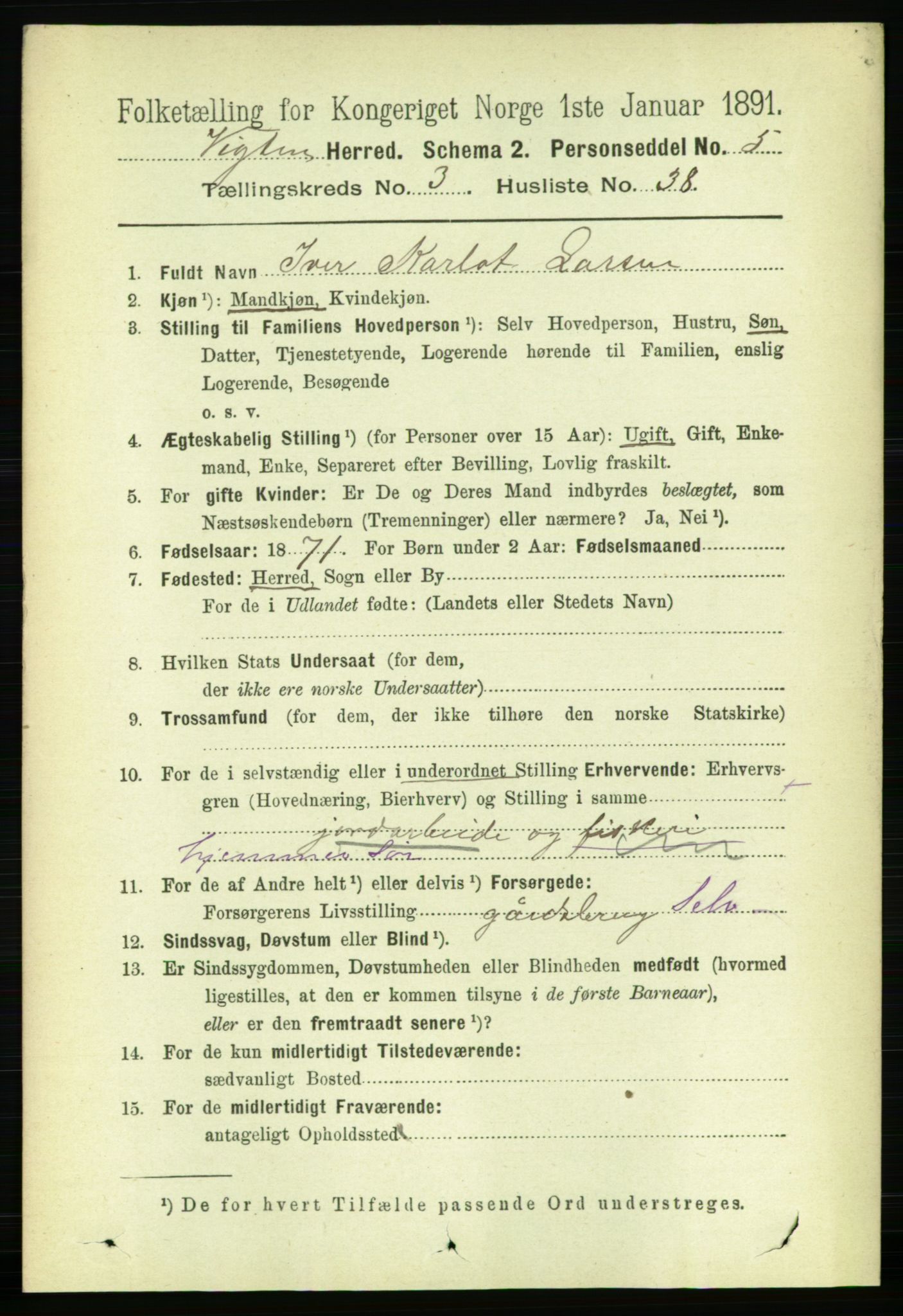 RA, 1891 census for 1750 Vikna, 1891, p. 1989