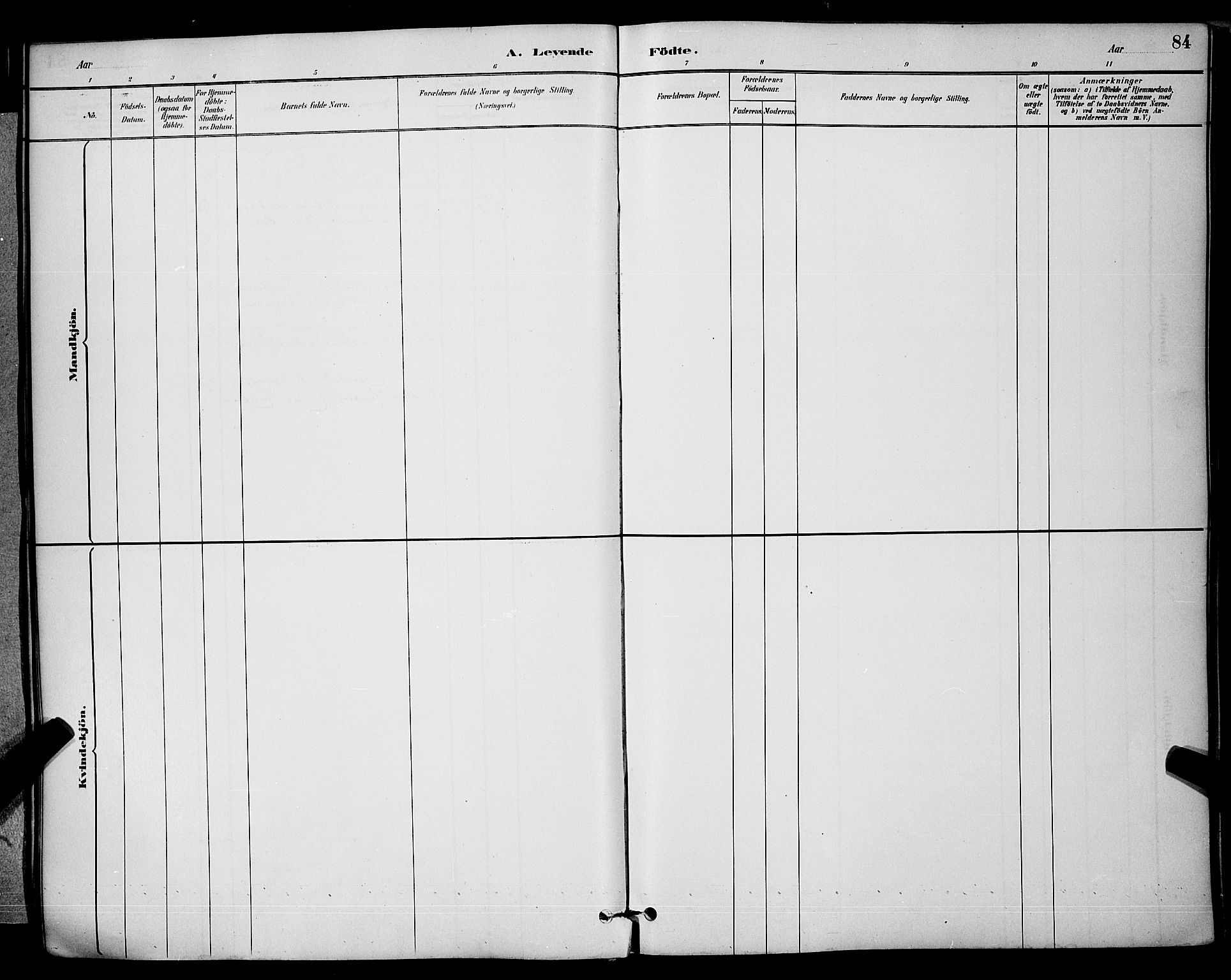 Brevik kirkebøker, SAKO/A-255/G/Ga/L0004: Parish register (copy) no. 4, 1882-1900, p. 84