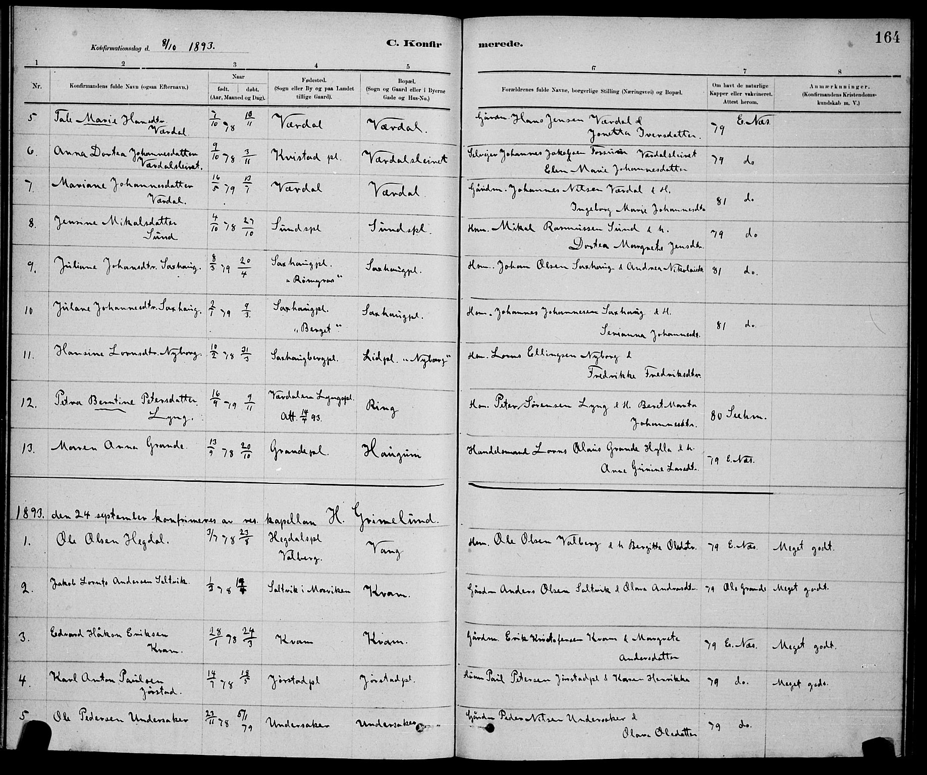 Ministerialprotokoller, klokkerbøker og fødselsregistre - Nord-Trøndelag, AV/SAT-A-1458/730/L0301: Parish register (copy) no. 730C04, 1880-1897, p. 164