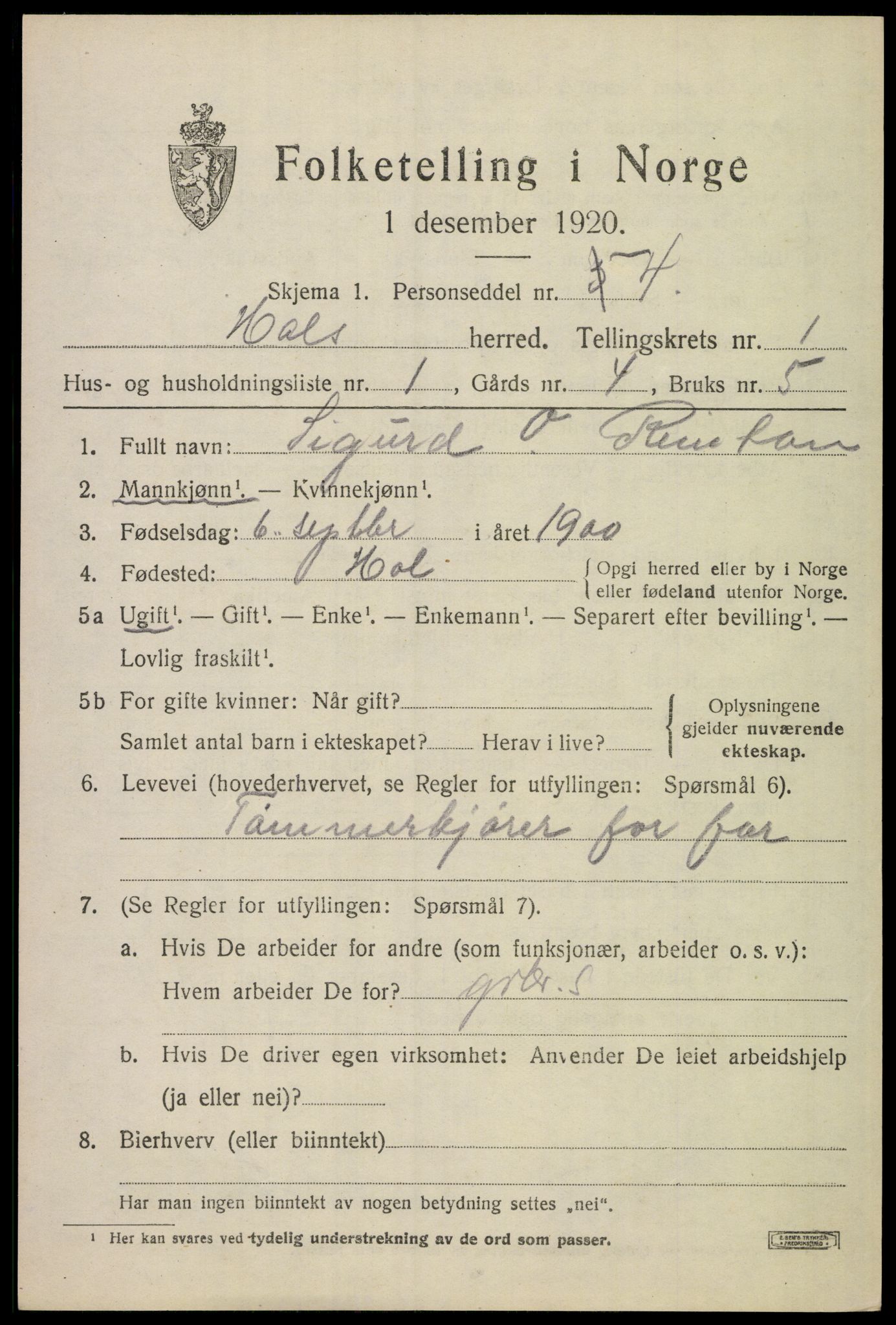 SAKO, 1920 census for Hol (Buskerud), 1920, p. 853