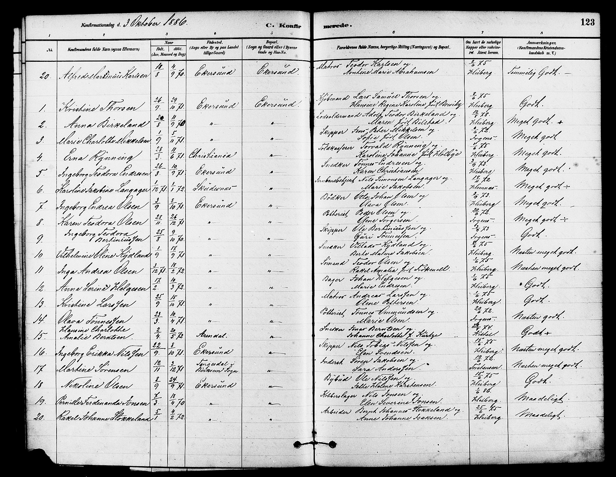 Eigersund sokneprestkontor, AV/SAST-A-101807/S08/L0015: Parish register (official) no. A 15, 1879-1892, p. 123