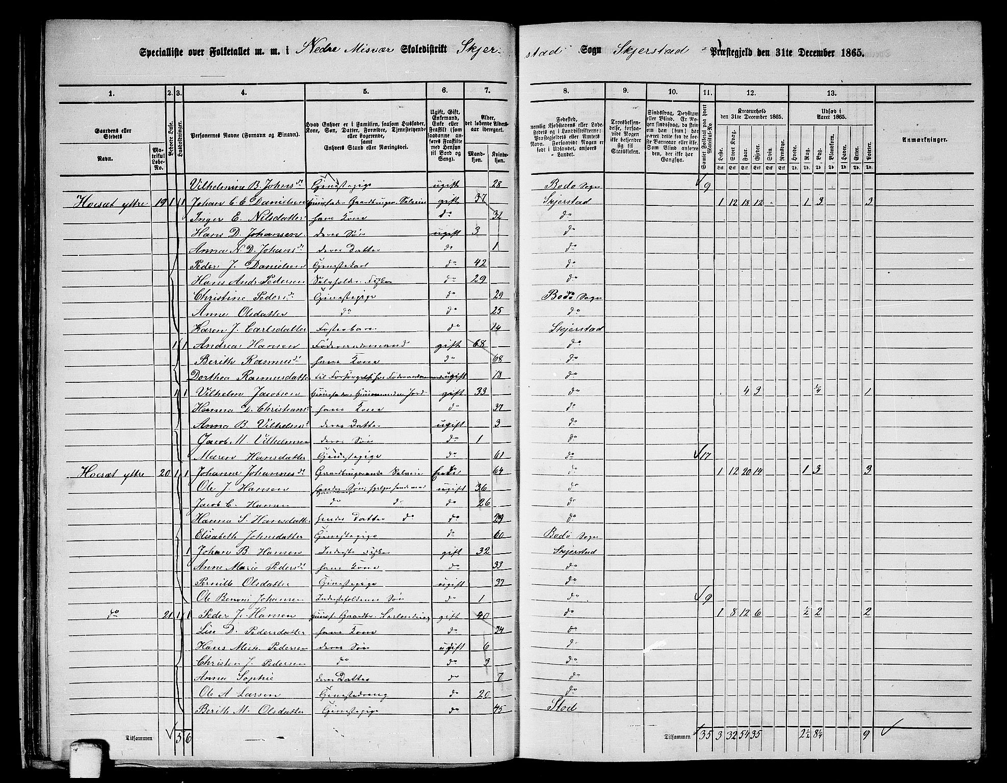 RA, 1865 census for Skjerstad, 1865, p. 38