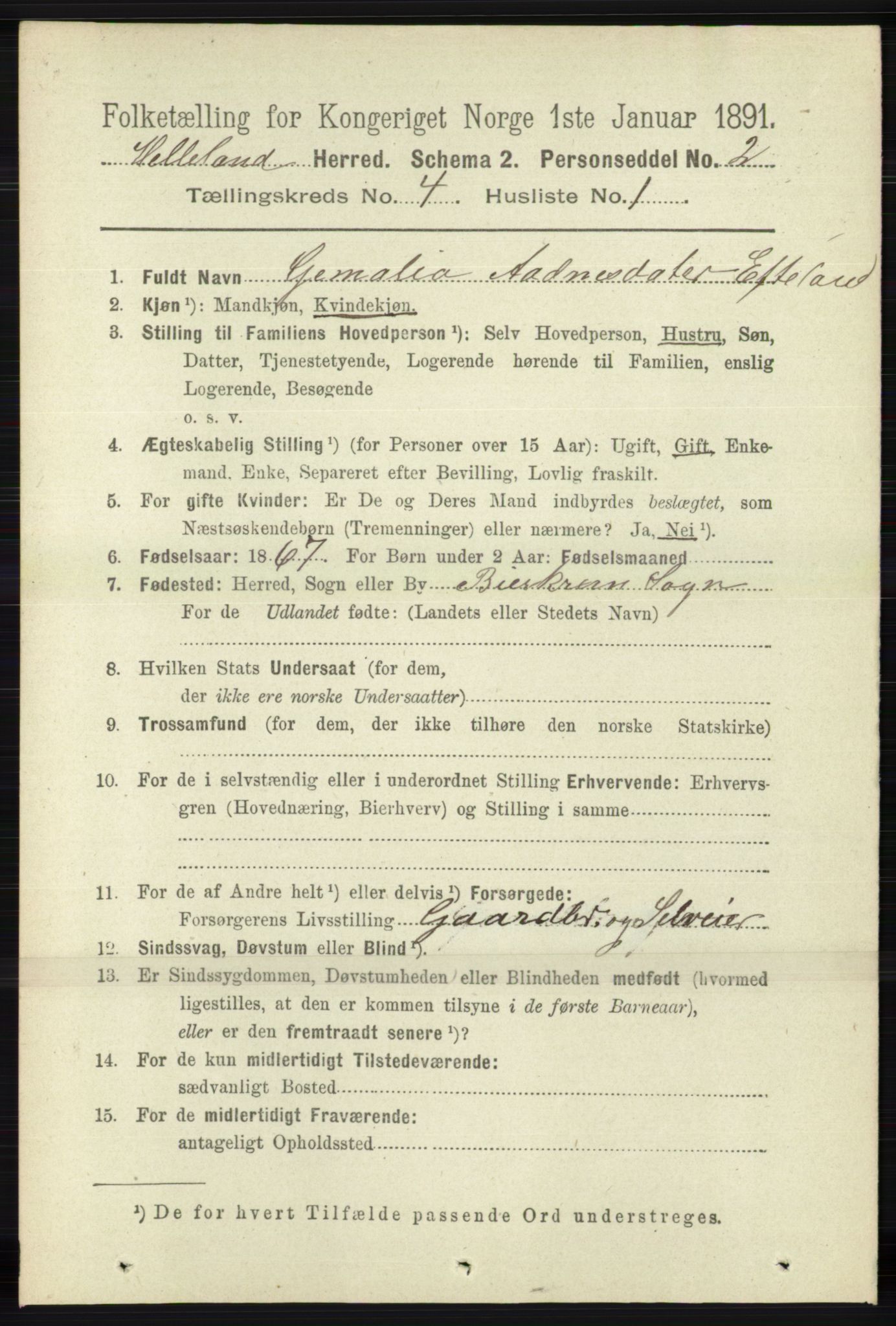 RA, 1891 census for 1115 Helleland, 1891, p. 1155