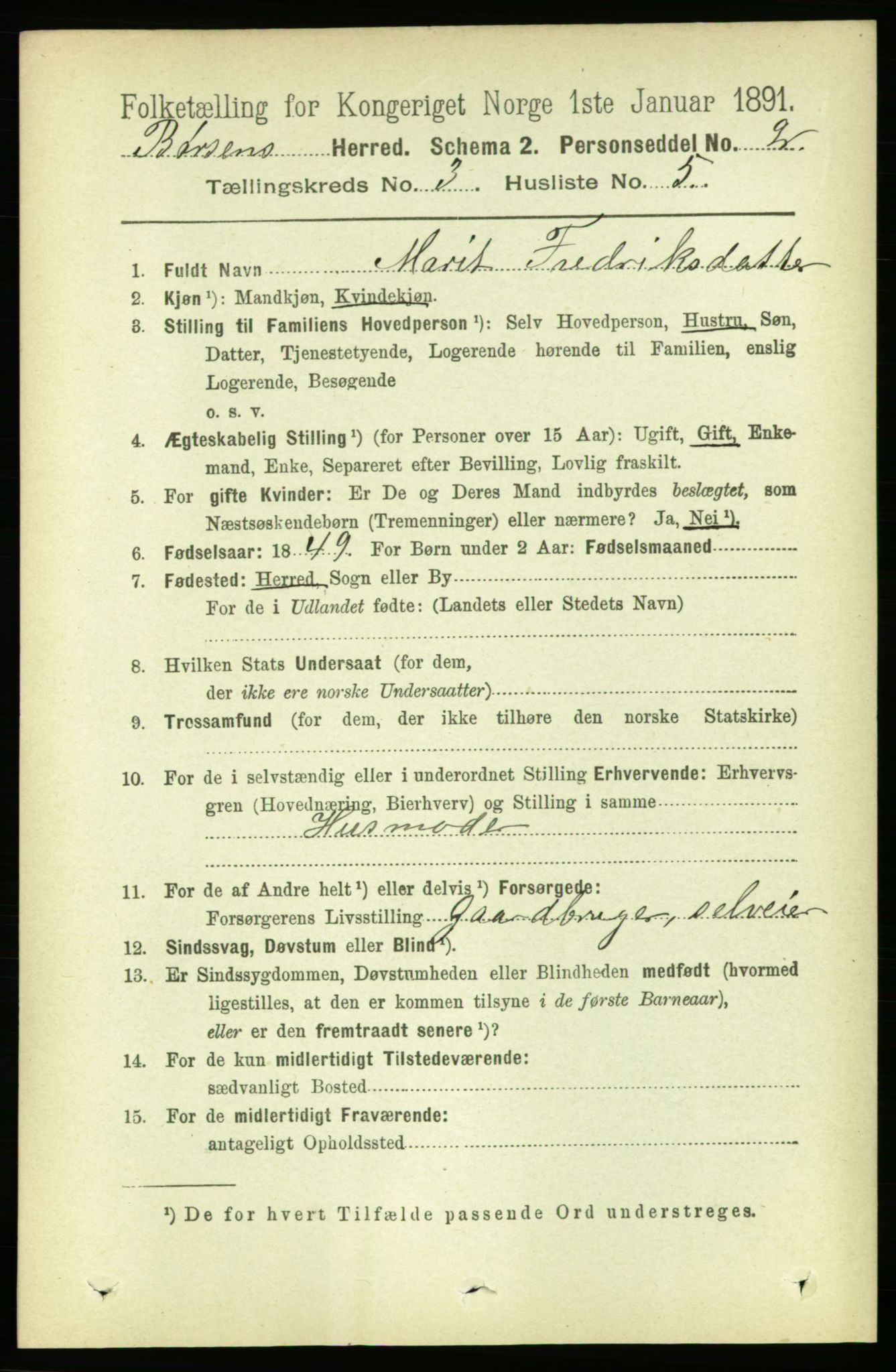 RA, 1891 census for 1658 Børsa, 1891, p. 896