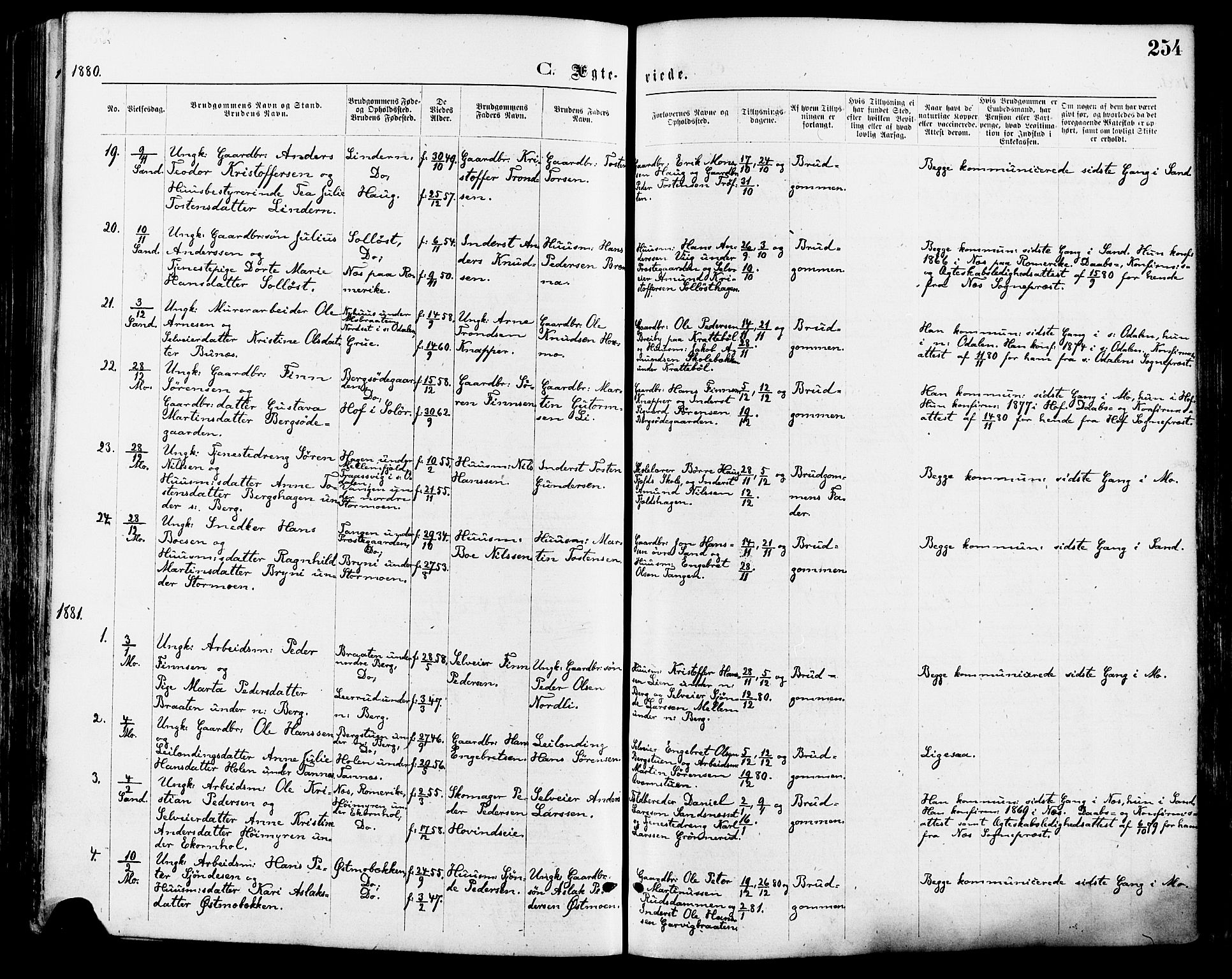 Nord-Odal prestekontor, AV/SAH-PREST-032/H/Ha/Haa/L0005: Parish register (official) no. 5, 1874-1885, p. 254