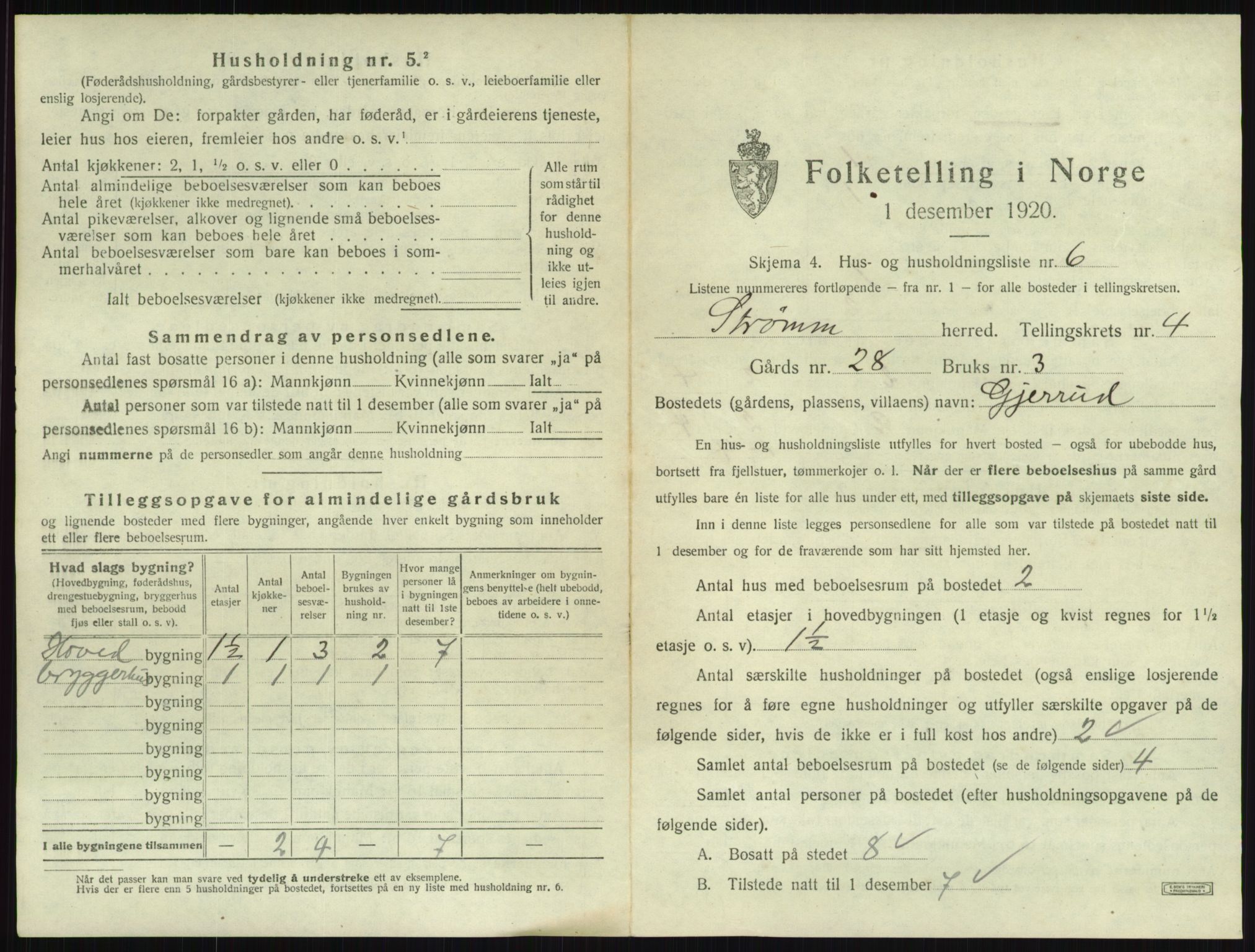 SAKO, 1920 census for Strømm, 1920, p. 441