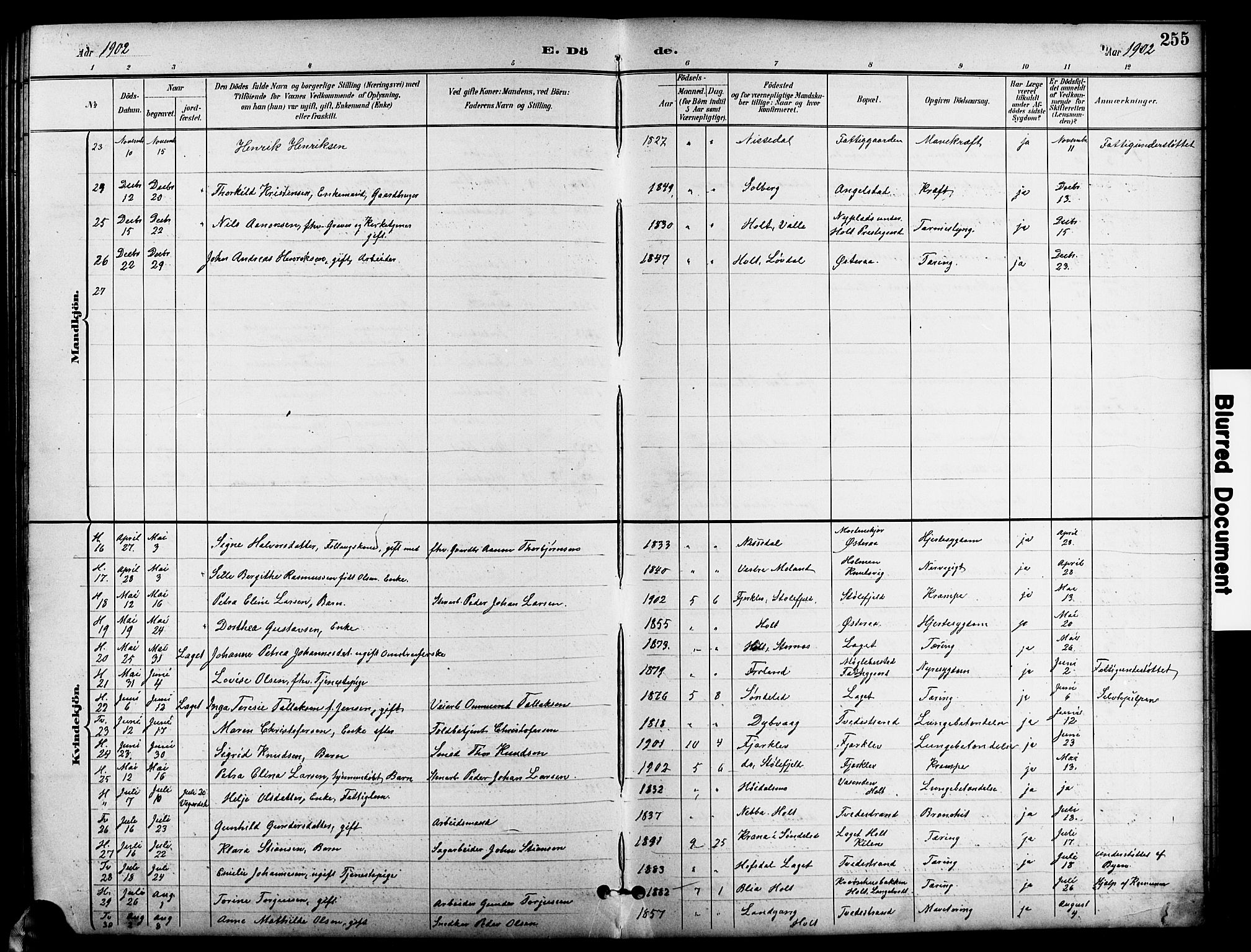 Holt sokneprestkontor, AV/SAK-1111-0021/F/Fb/L0011: Parish register (copy) no. B 11, 1897-1921, p. 255