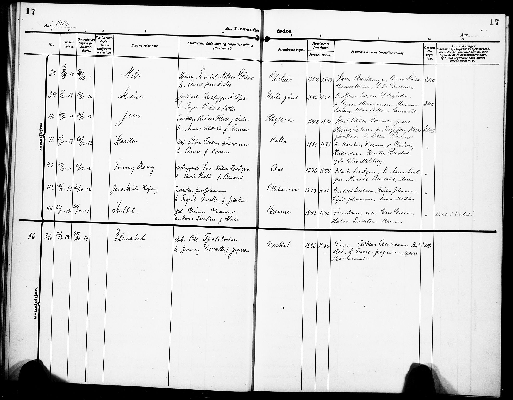 Holla kirkebøker, AV/SAKO-A-272/G/Ga/L0006: Parish register (copy) no. I 6, 1917-1928, p. 17