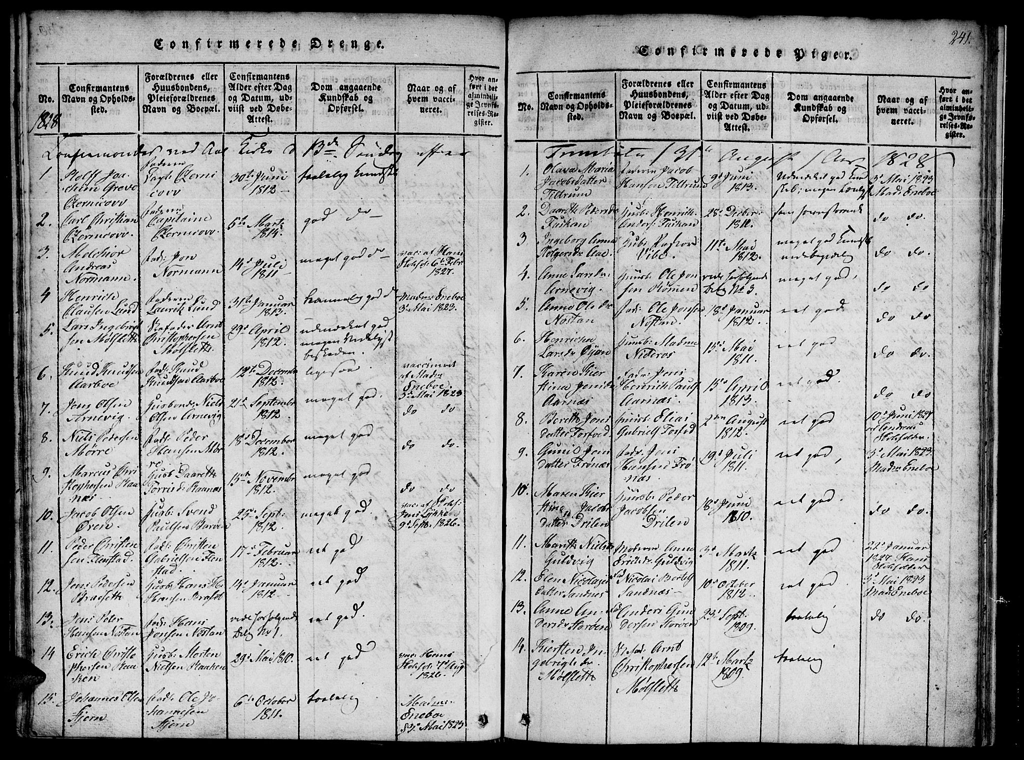Ministerialprotokoller, klokkerbøker og fødselsregistre - Sør-Trøndelag, SAT/A-1456/655/L0675: Parish register (official) no. 655A04, 1818-1830, p. 241