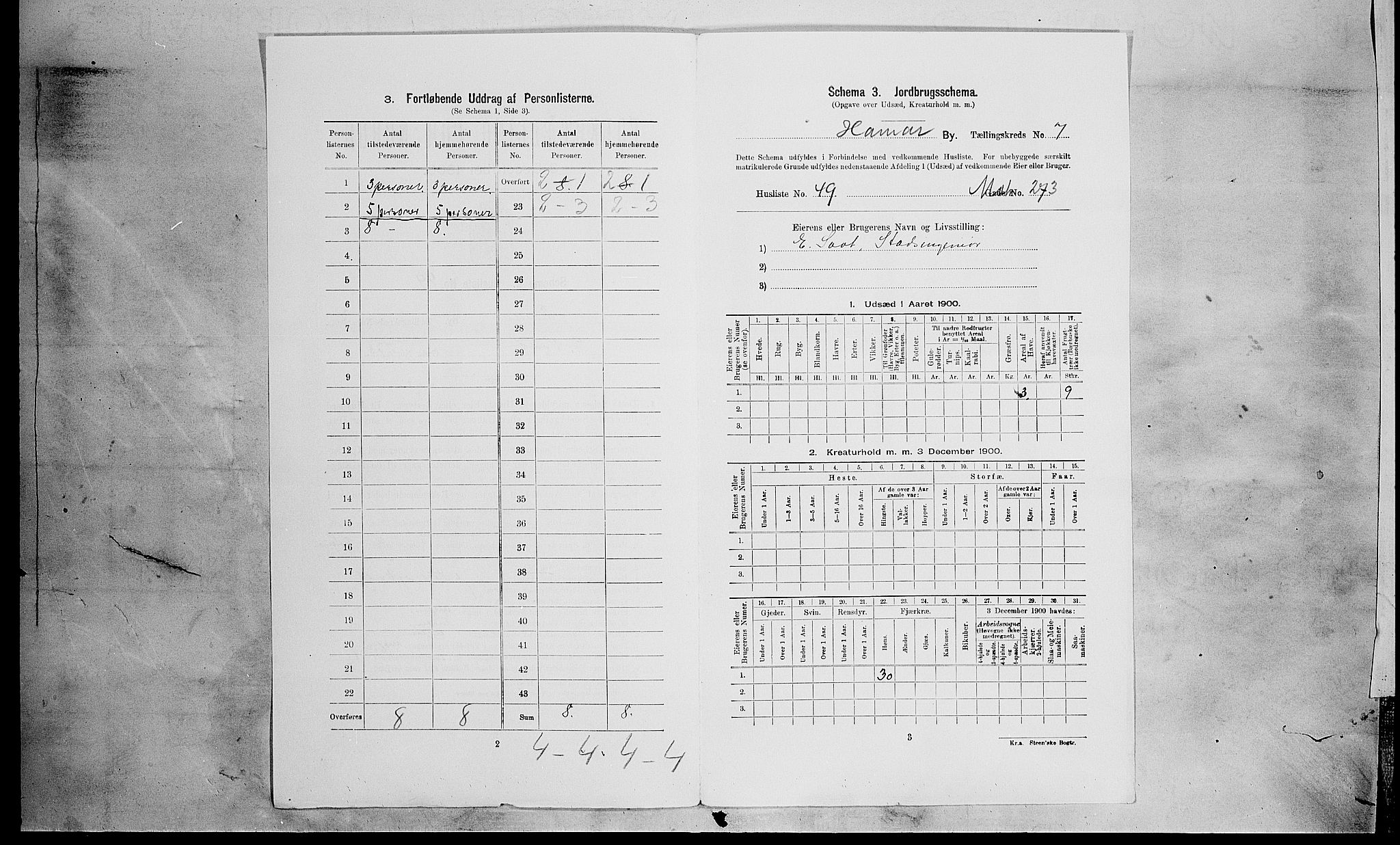 SAH, 1900 census for Hamar, 1900, p. 2444
