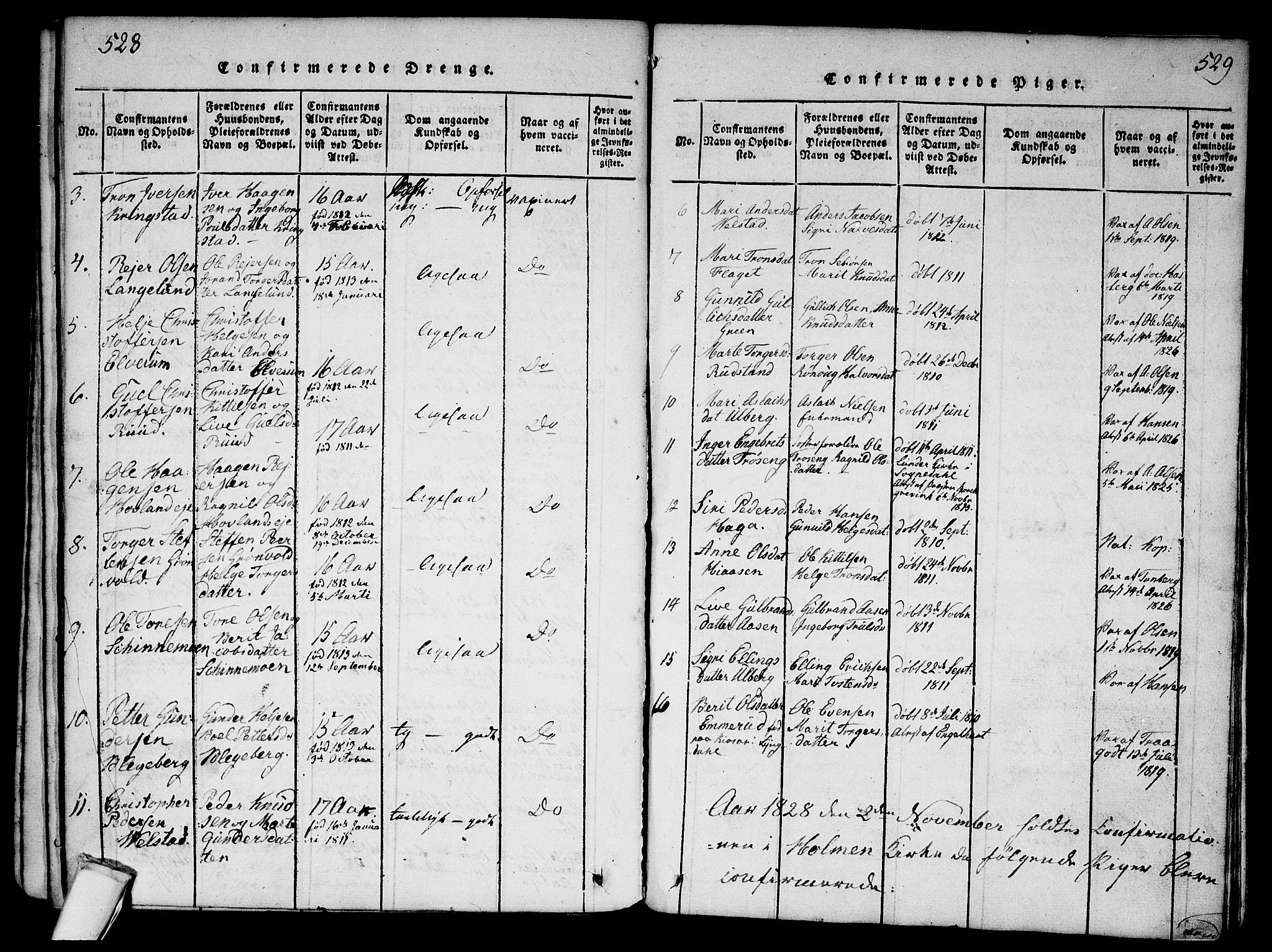 Sigdal kirkebøker, SAKO/A-245/G/Ga/L0001: Parish register (copy) no. I 1 /1, 1816-1835, p. 528-529