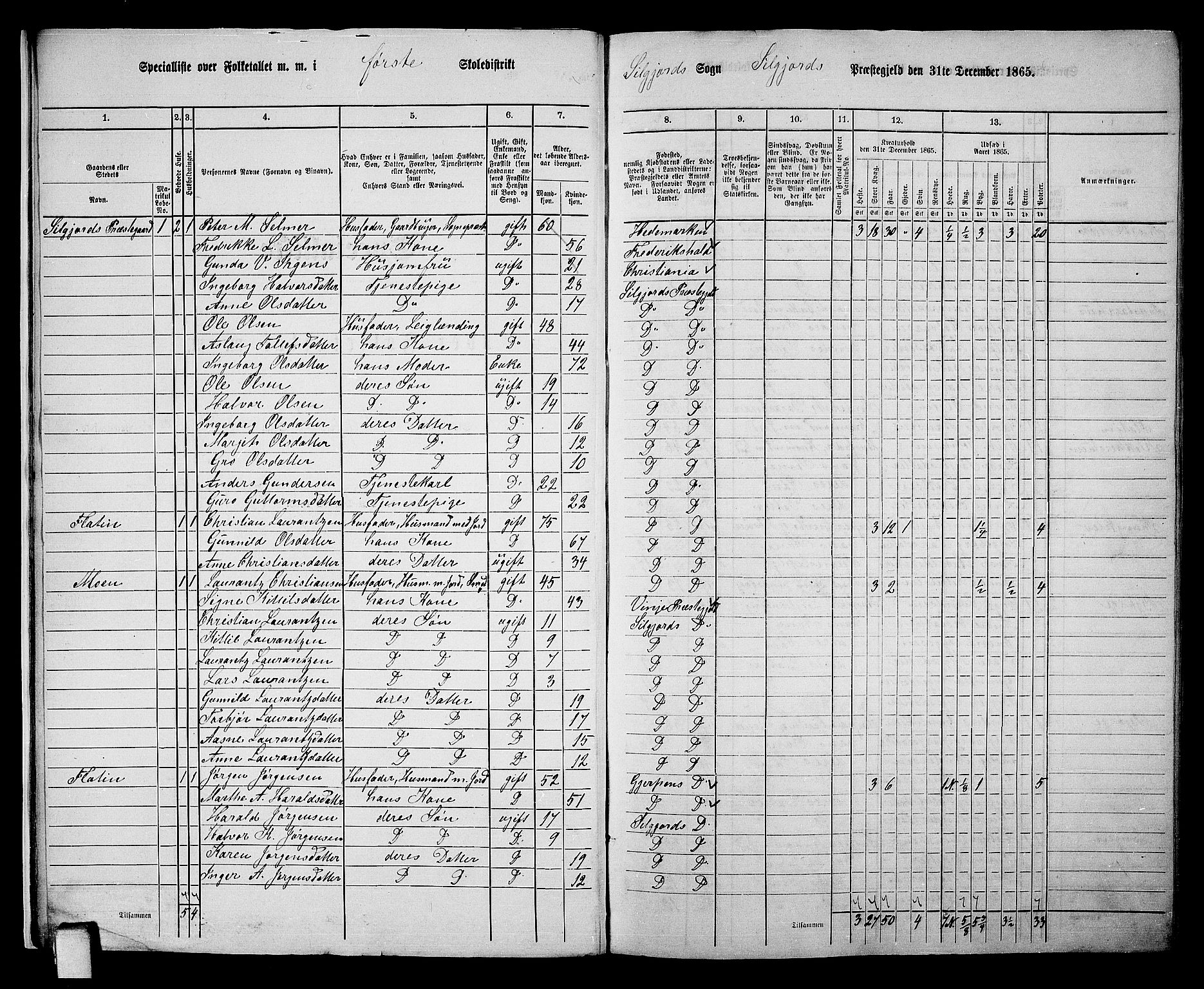 RA, 1865 census for Seljord, 1865, p. 12