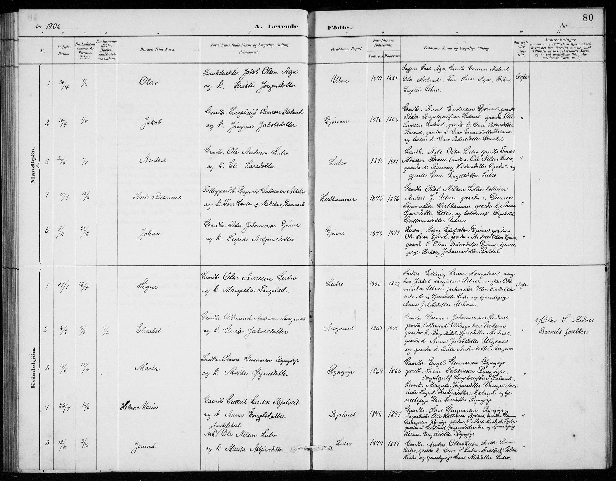 Ullensvang sokneprestembete, AV/SAB-A-78701/H/Hab: Parish register (copy) no. E  7, 1887-1929, p. 80