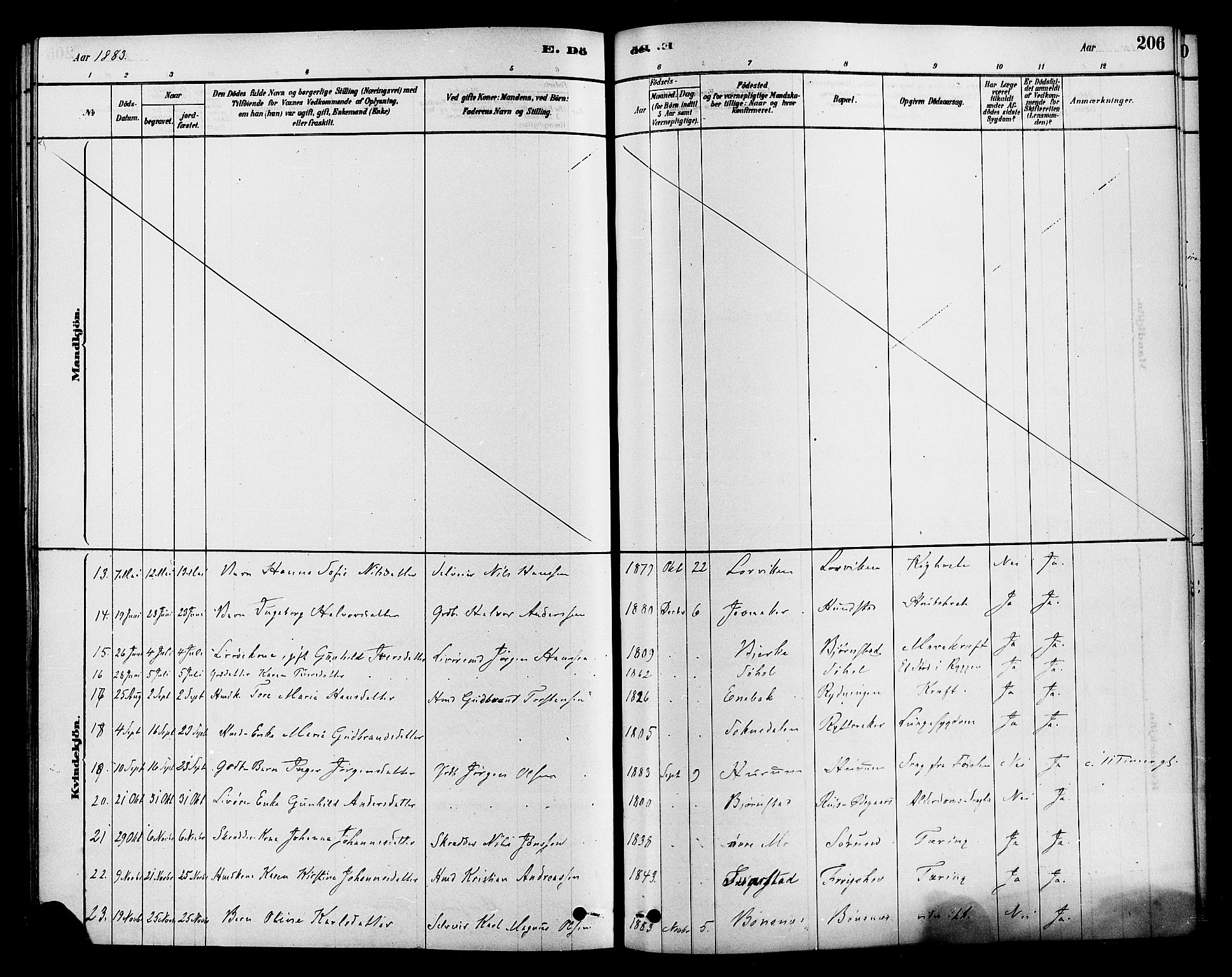 Hole kirkebøker, SAKO/A-228/F/Fa/L0008: Parish register (official) no. I 8, 1878-1891, p. 206