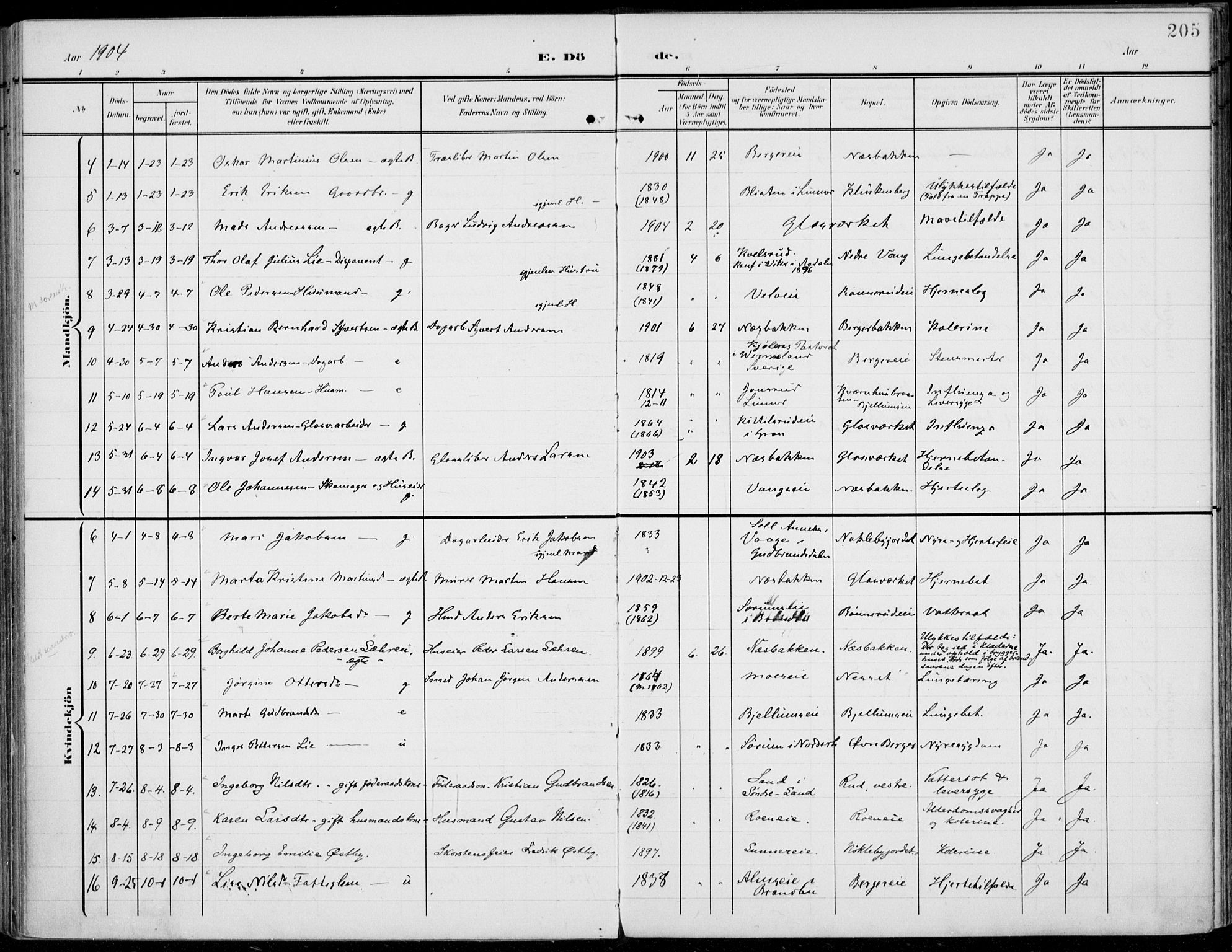 Jevnaker prestekontor, AV/SAH-PREST-116/H/Ha/Haa/L0011: Parish register (official) no. 11, 1902-1913, p. 205