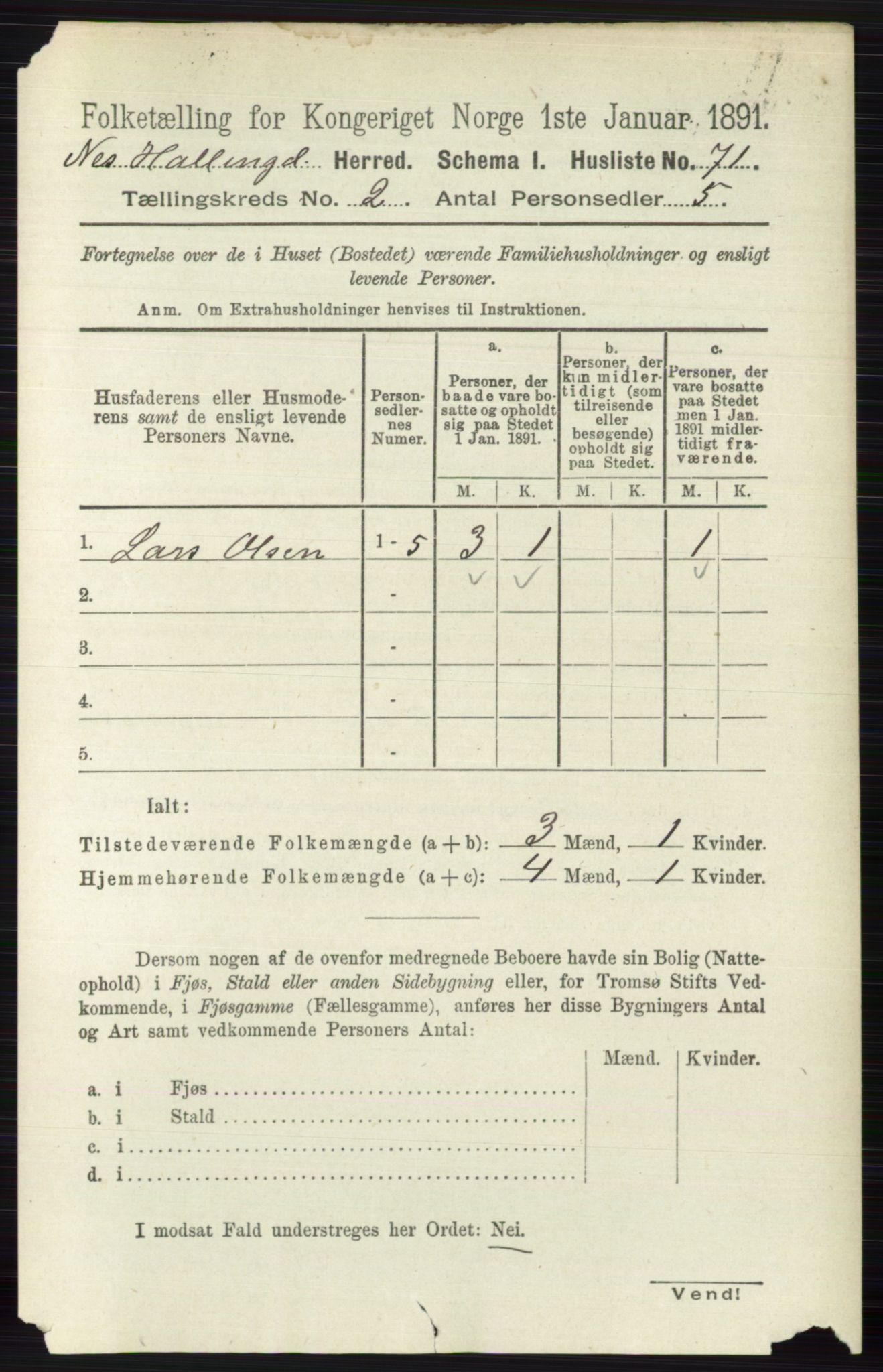 RA, 1891 census for 0616 Nes, 1891, p. 980