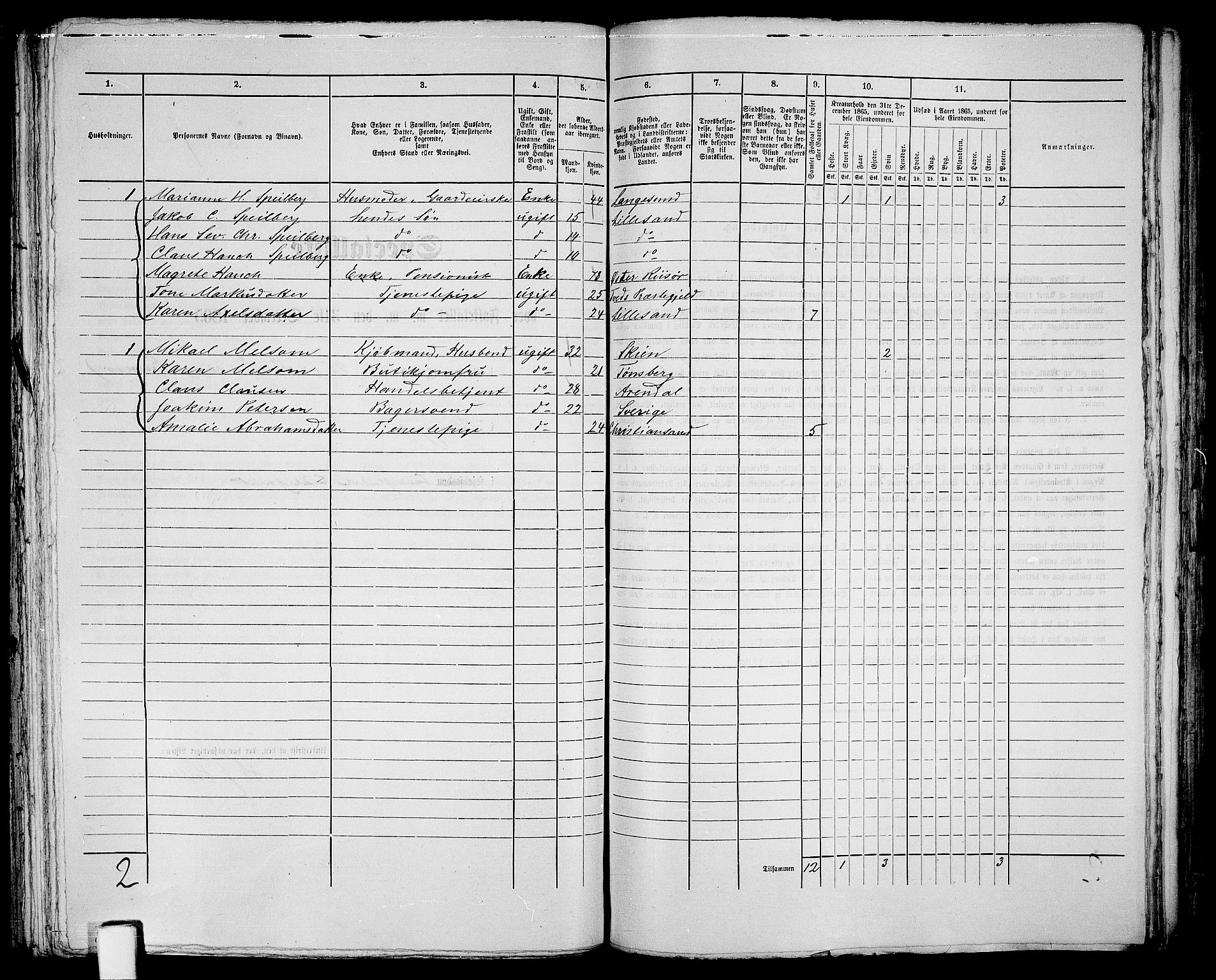 RA, 1865 census for Vestre Moland/Lillesand, 1865, p. 212