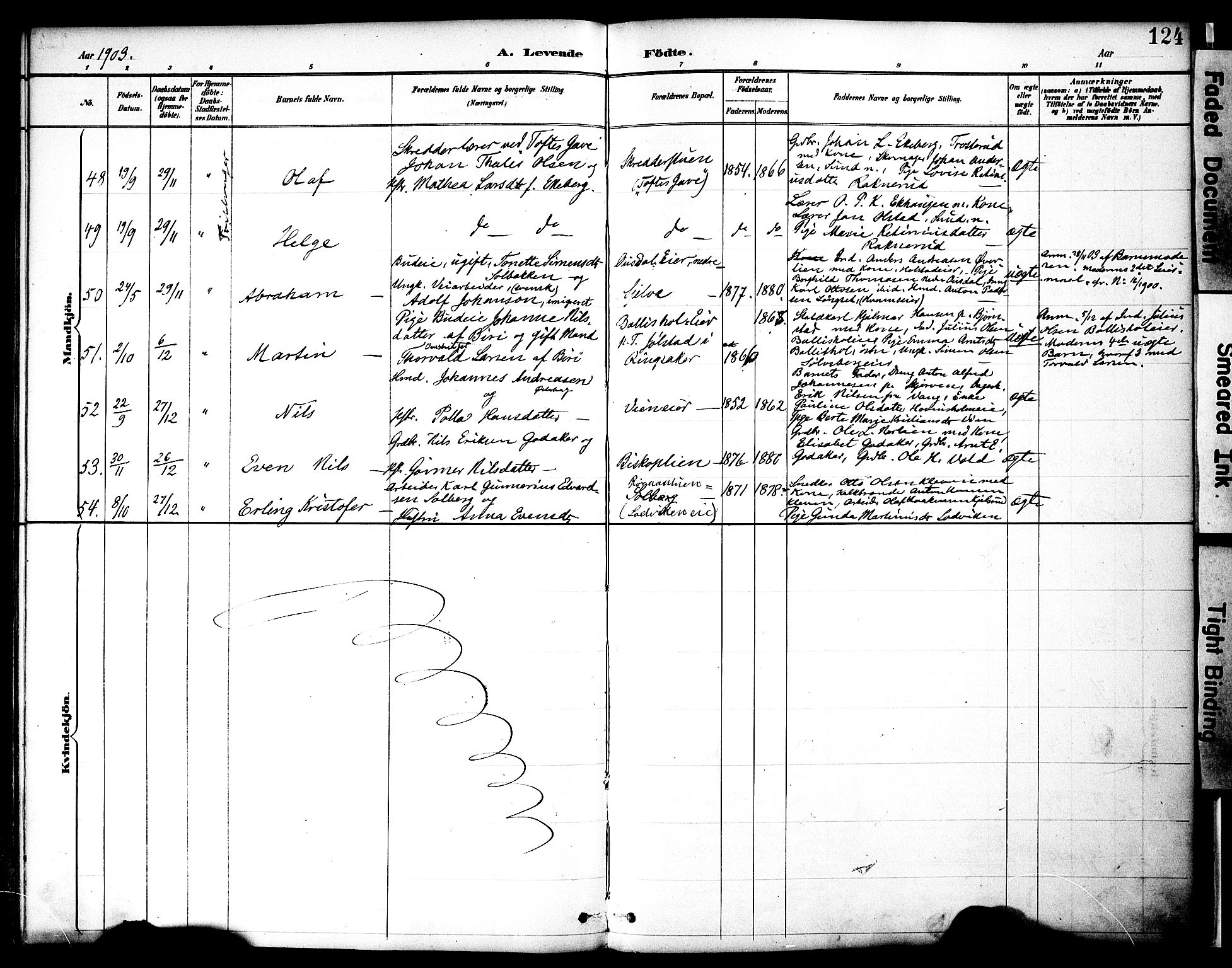 Nes prestekontor, Hedmark, AV/SAH-PREST-020/K/Ka/L0009: Parish register (official) no. 9, 1887-1905, p. 124