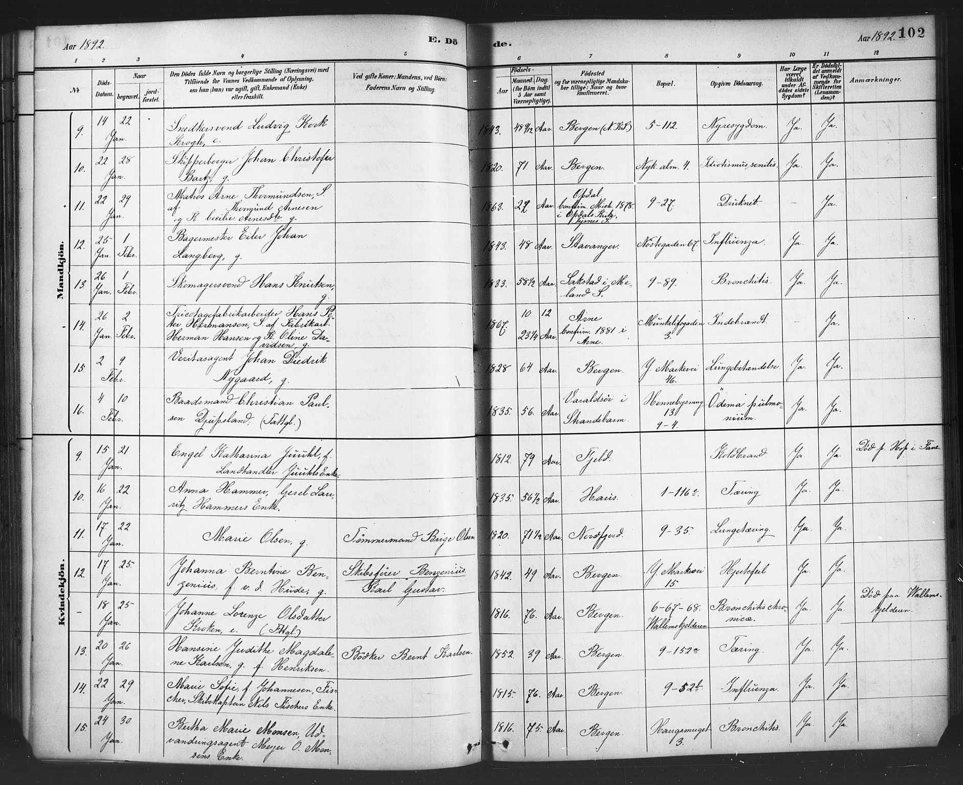 Nykirken Sokneprestembete, AV/SAB-A-77101/H/Haa/L0044: Parish register (official) no. E 4, 1882-1898, p. 102