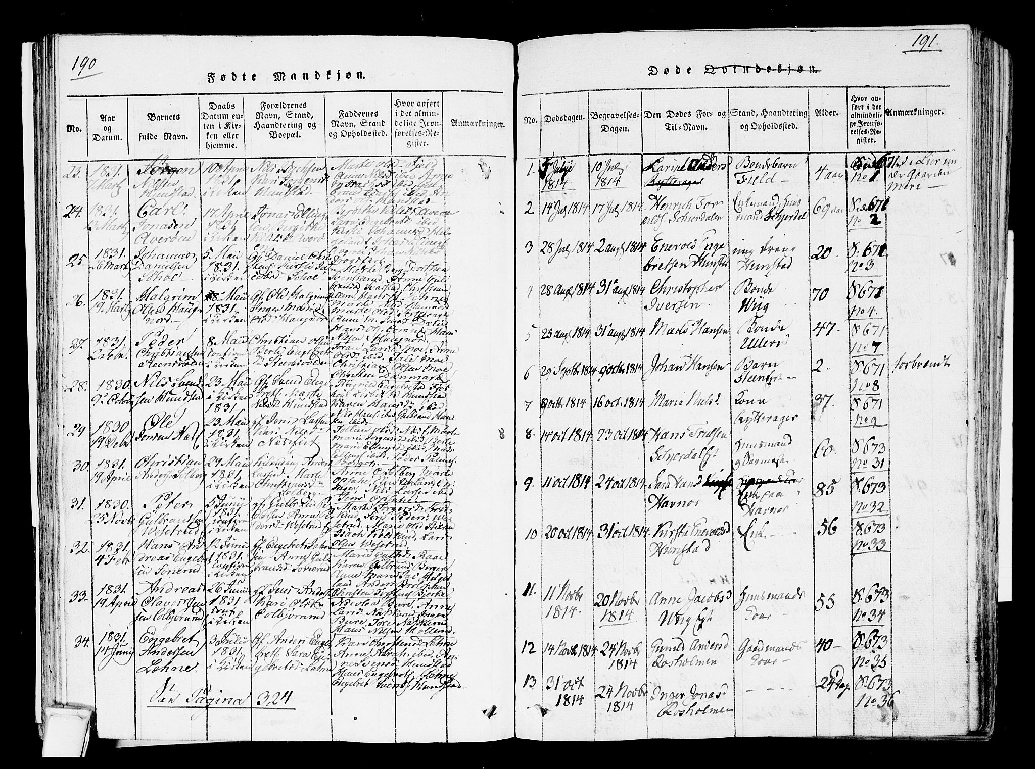Hole kirkebøker, SAKO/A-228/F/Fa/L0004: Parish register (official) no. I 4, 1814-1833, p. 190-191