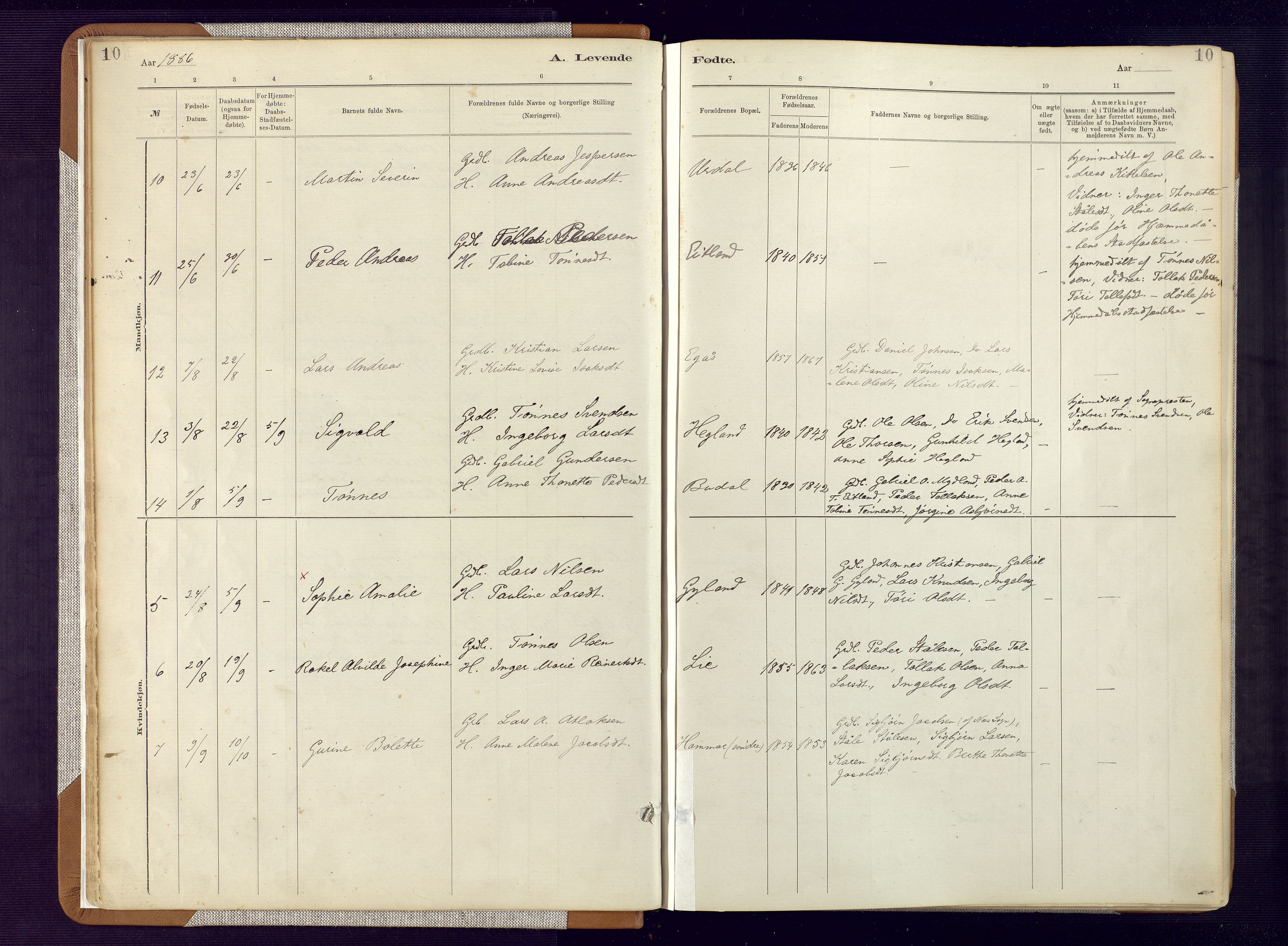 Bakke sokneprestkontor, AV/SAK-1111-0002/F/Fa/Fab/L0003: Parish register (official) no. A 3, 1884-1921, p. 10