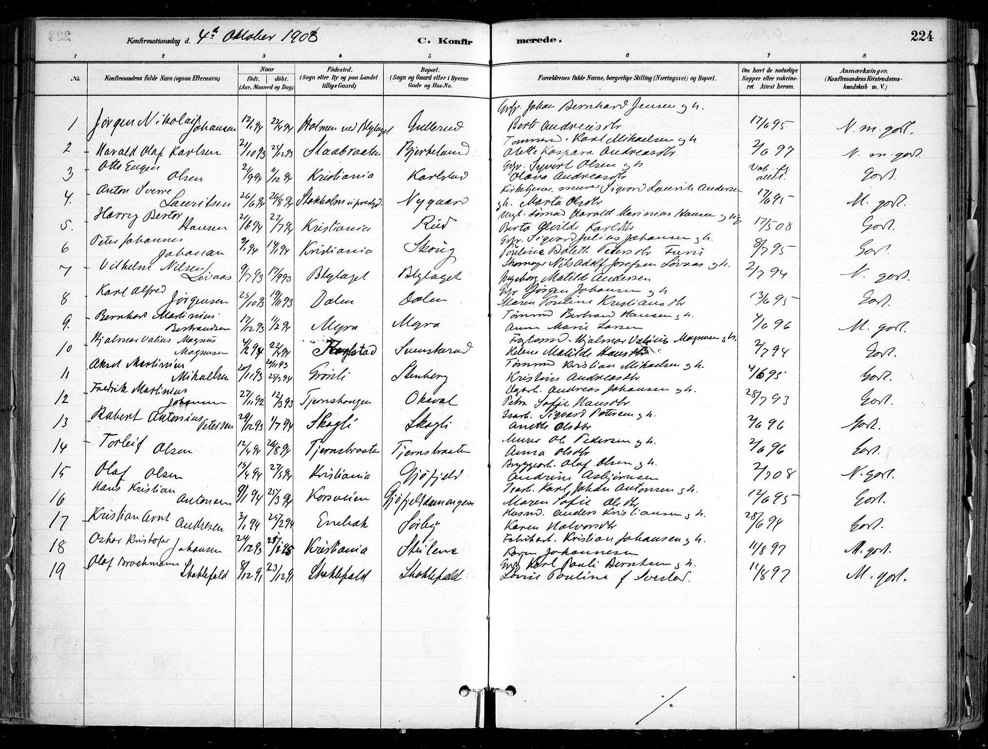 Nesodden prestekontor Kirkebøker, SAO/A-10013/F/Fa/L0009: Parish register (official) no. I 9, 1880-1915, p. 224