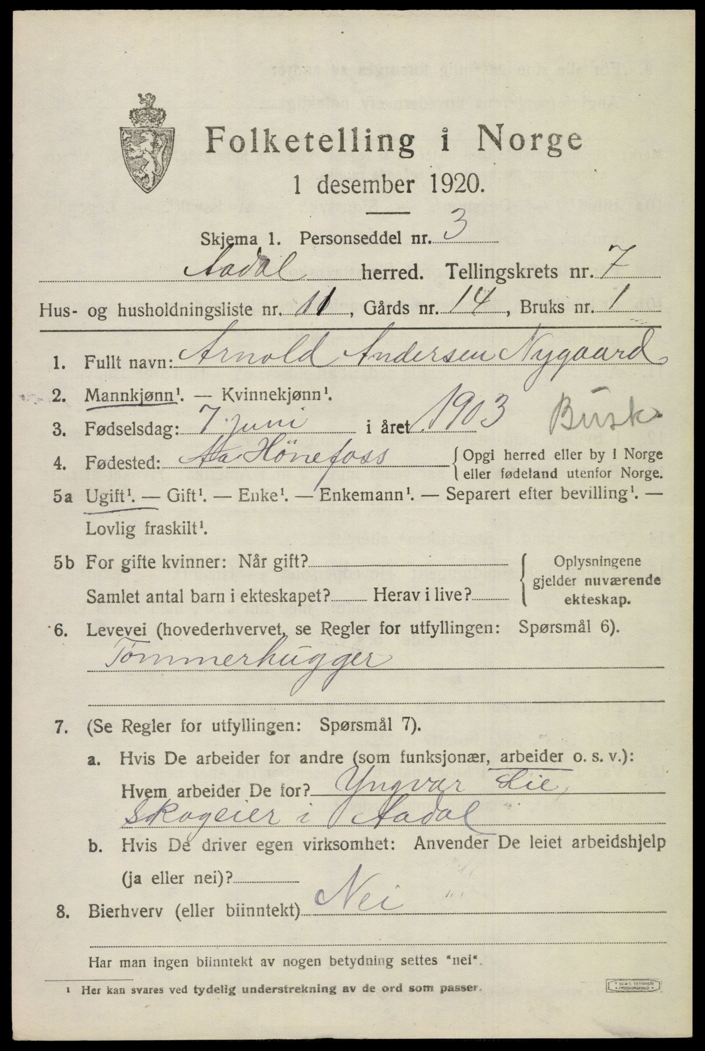 SAKO, 1920 census for Ådal, 1920, p. 5124