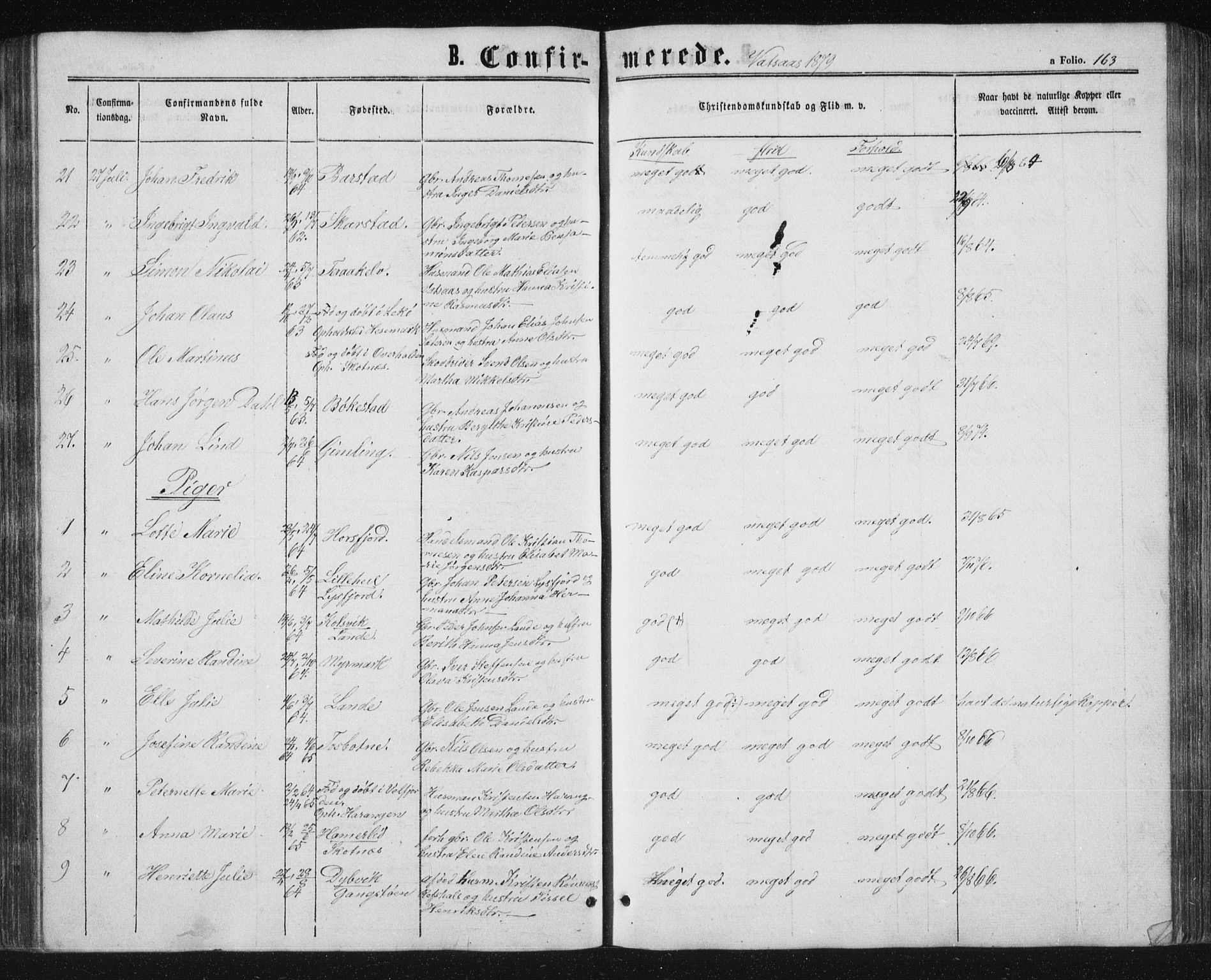 Ministerialprotokoller, klokkerbøker og fødselsregistre - Nordland, AV/SAT-A-1459/810/L0158: Parish register (copy) no. 810C02 /1, 1863-1883, p. 163