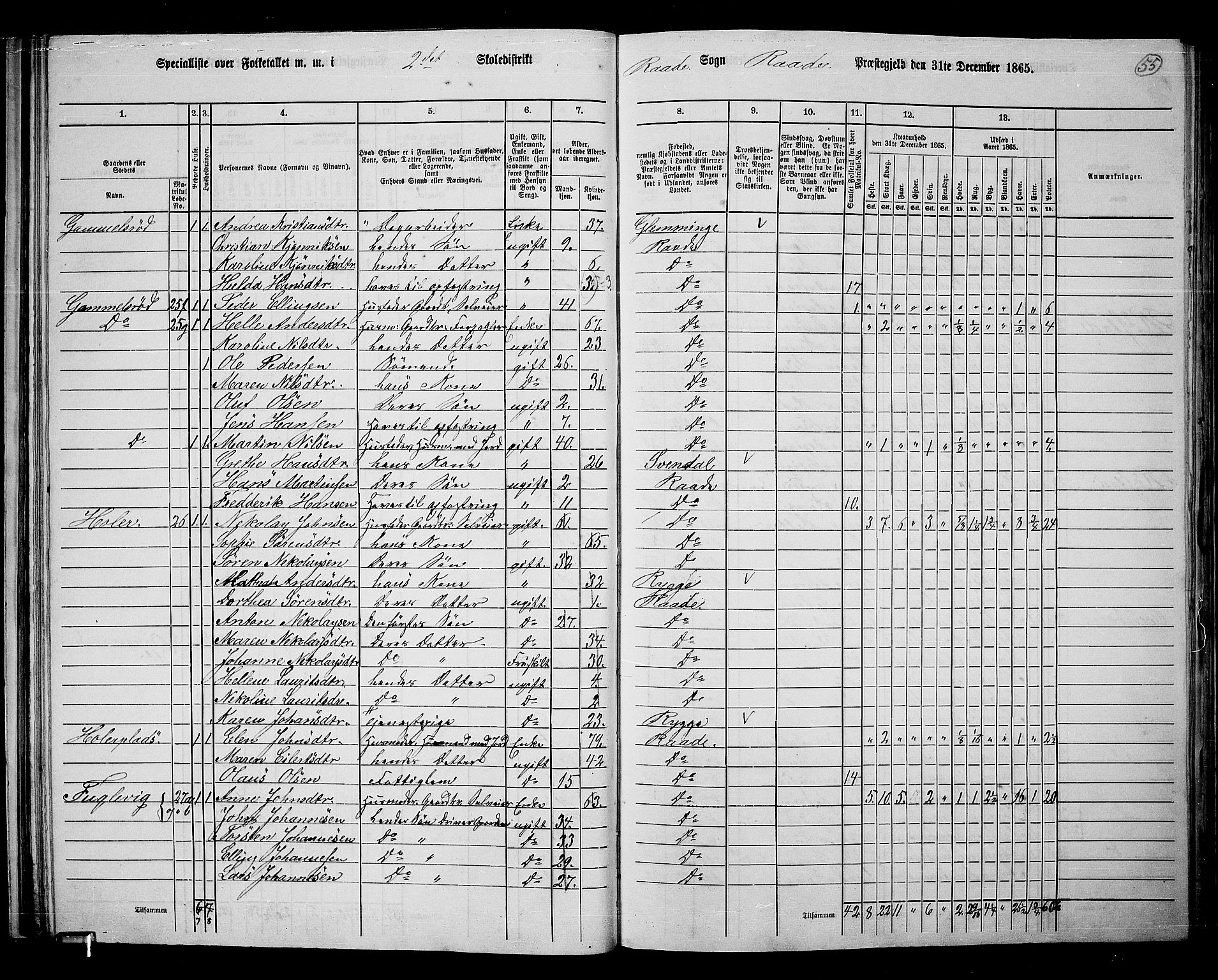 RA, 1865 census for Råde, 1865, p. 49