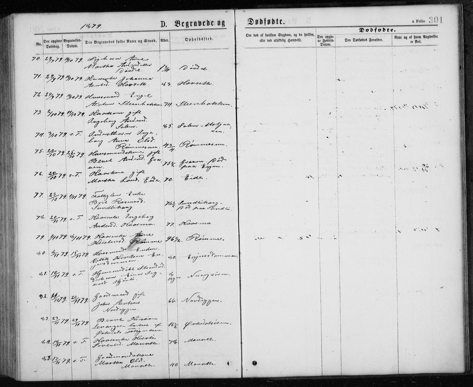 Ministerialprotokoller, klokkerbøker og fødselsregistre - Sør-Trøndelag, AV/SAT-A-1456/668/L0817: Parish register (copy) no. 668C06, 1873-1884, p. 301